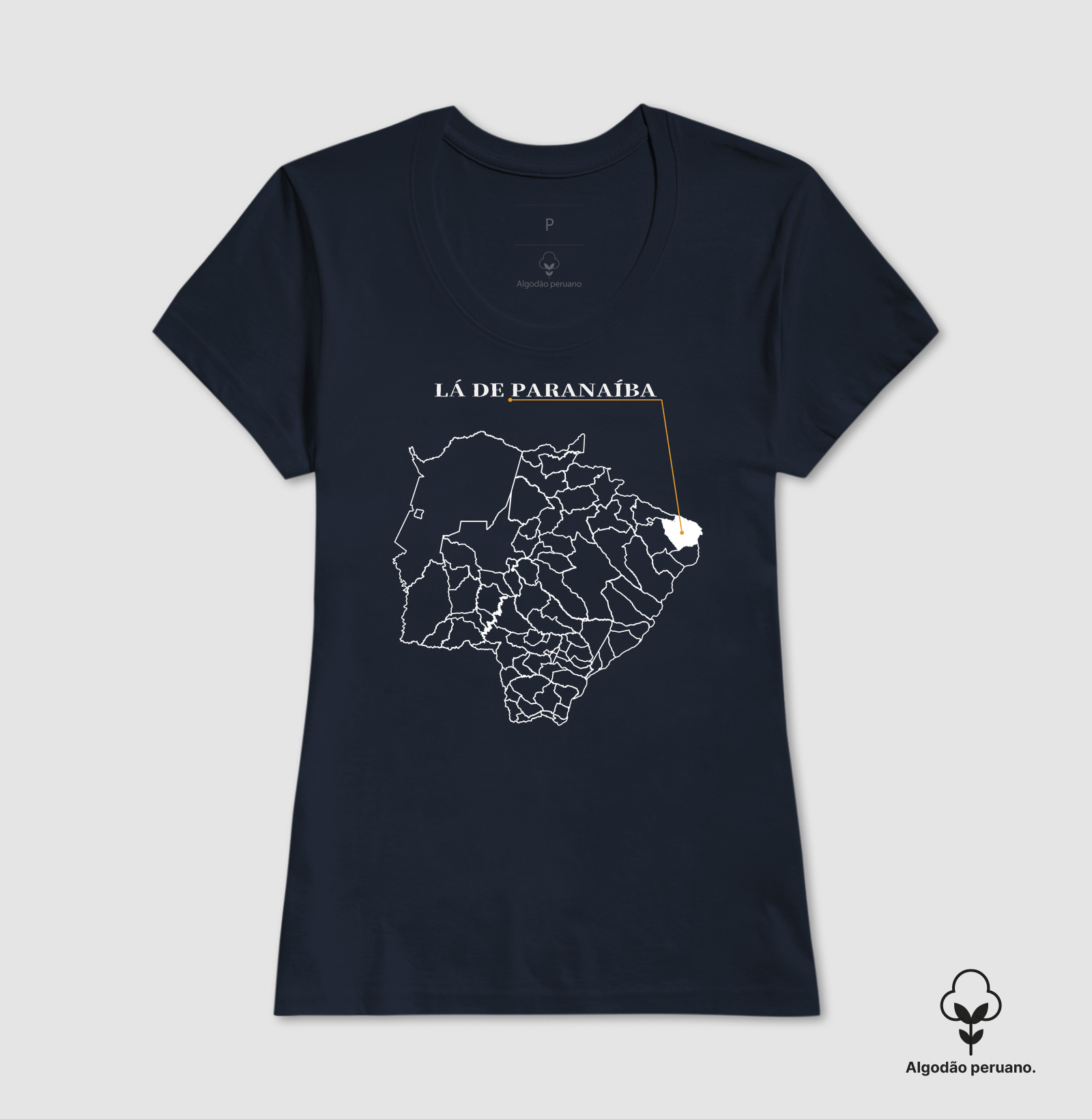Paranaíba | Origem MS - Imagem 7