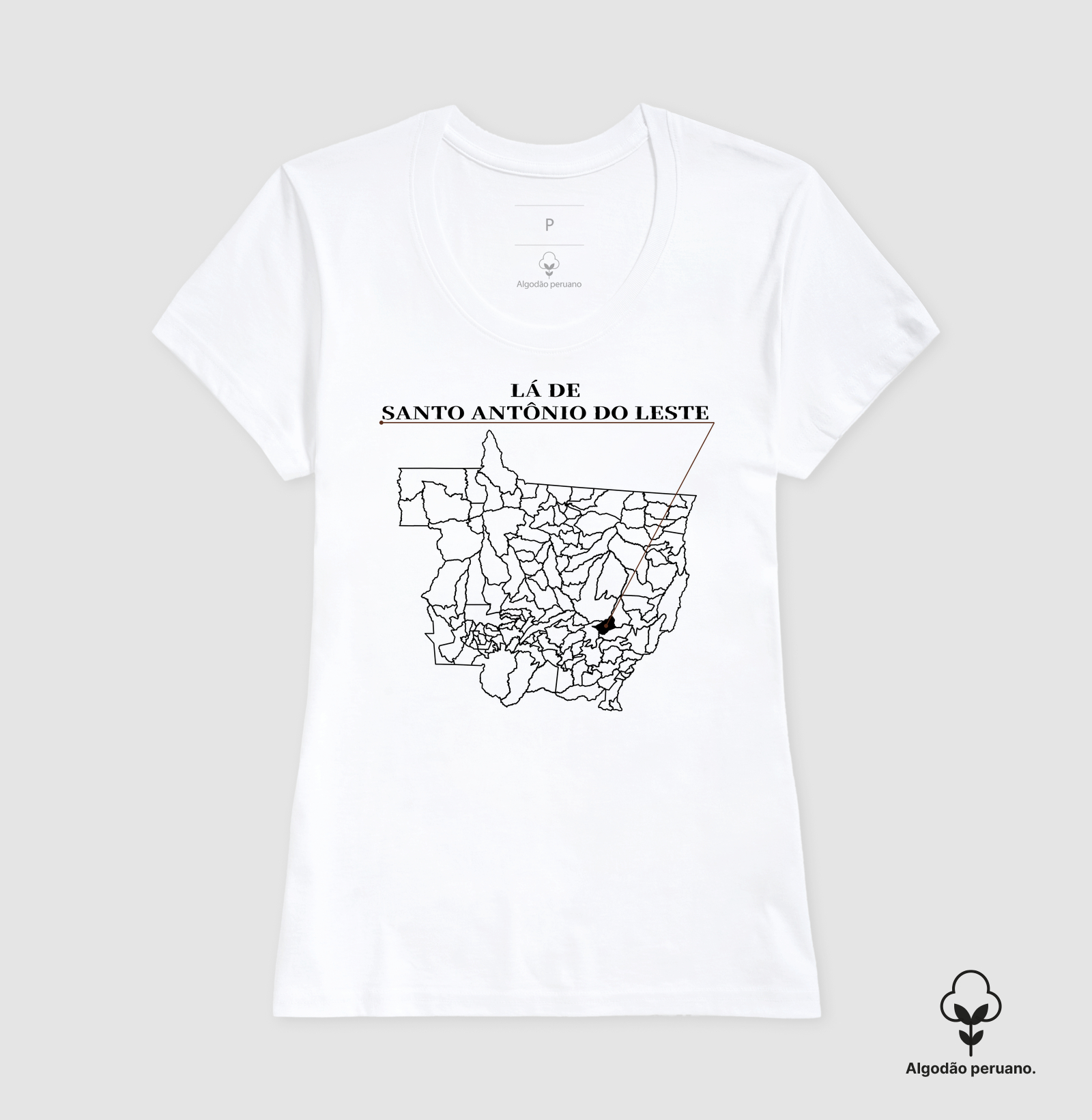 Santo Antônio do Leste | Origem MT - Imagem 6
