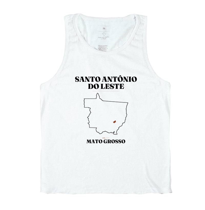 Santo Antônio do Leste | Legado MT - Imagem 2