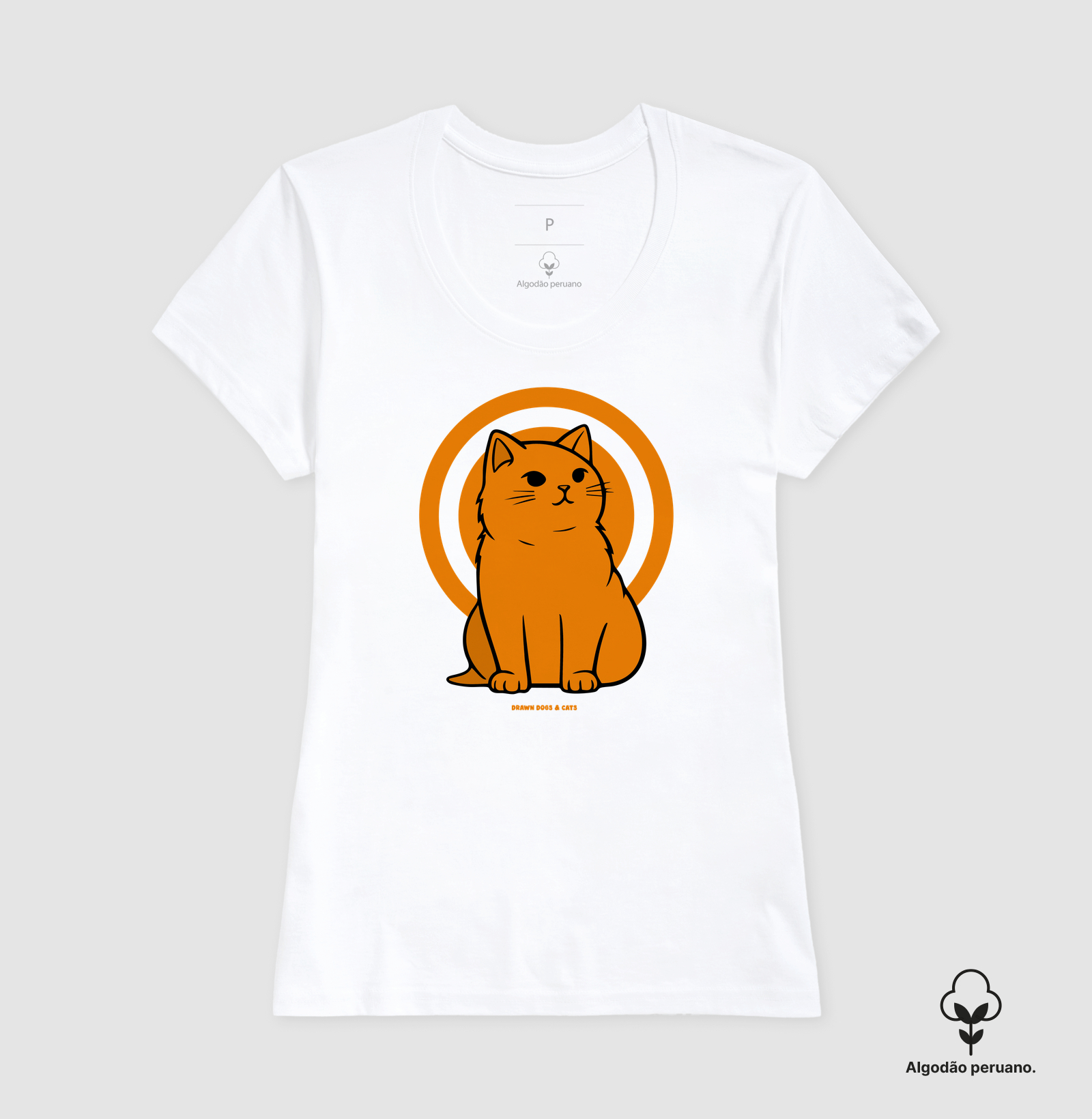 Gato laranja - Imagem 7