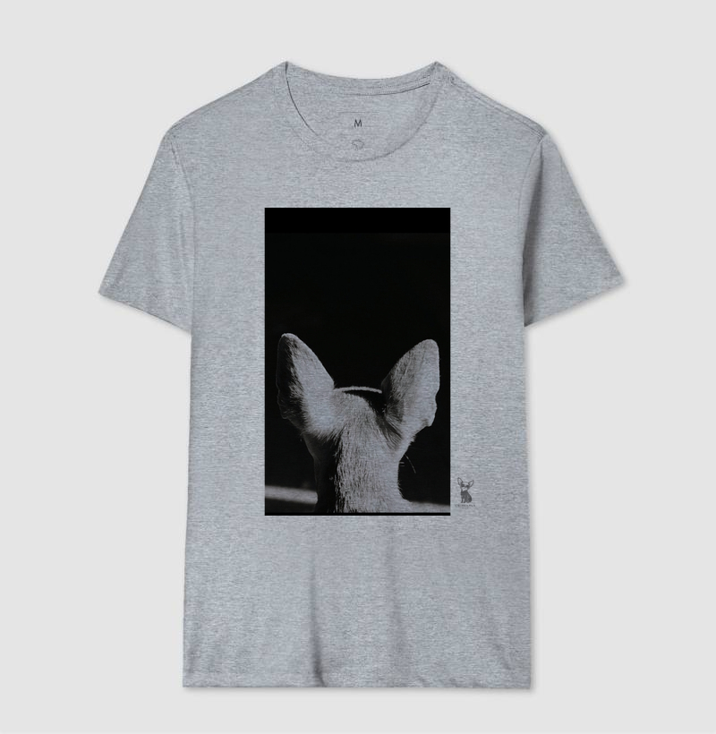 Chihuahua  - Imagem 4