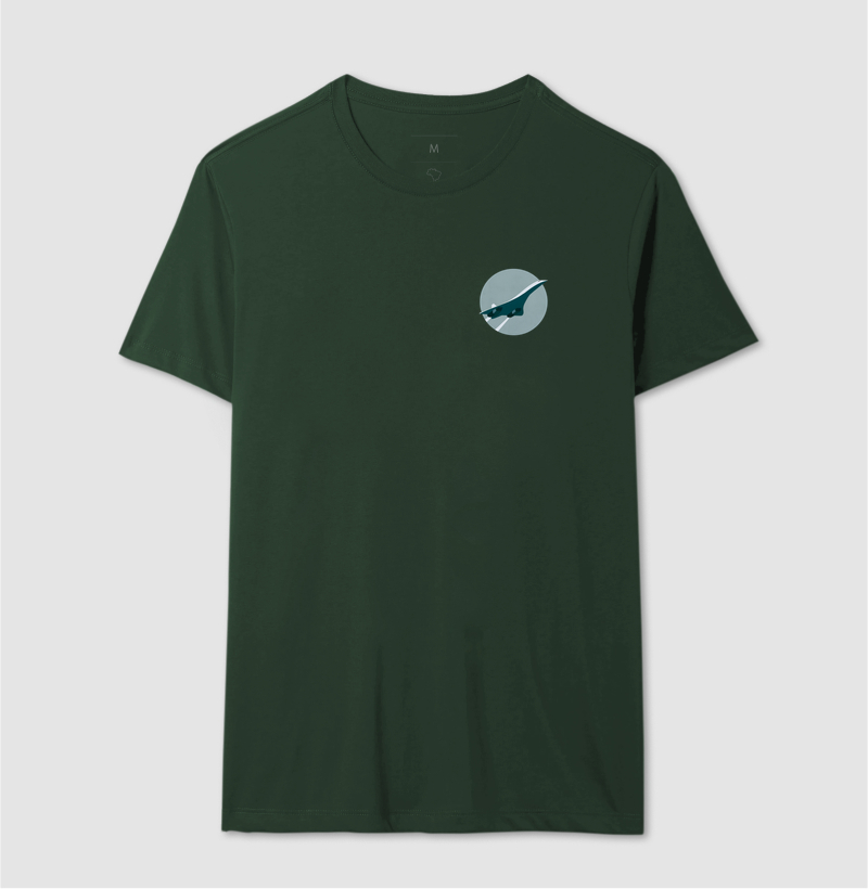 Concorde Minimalista - Imagem 12