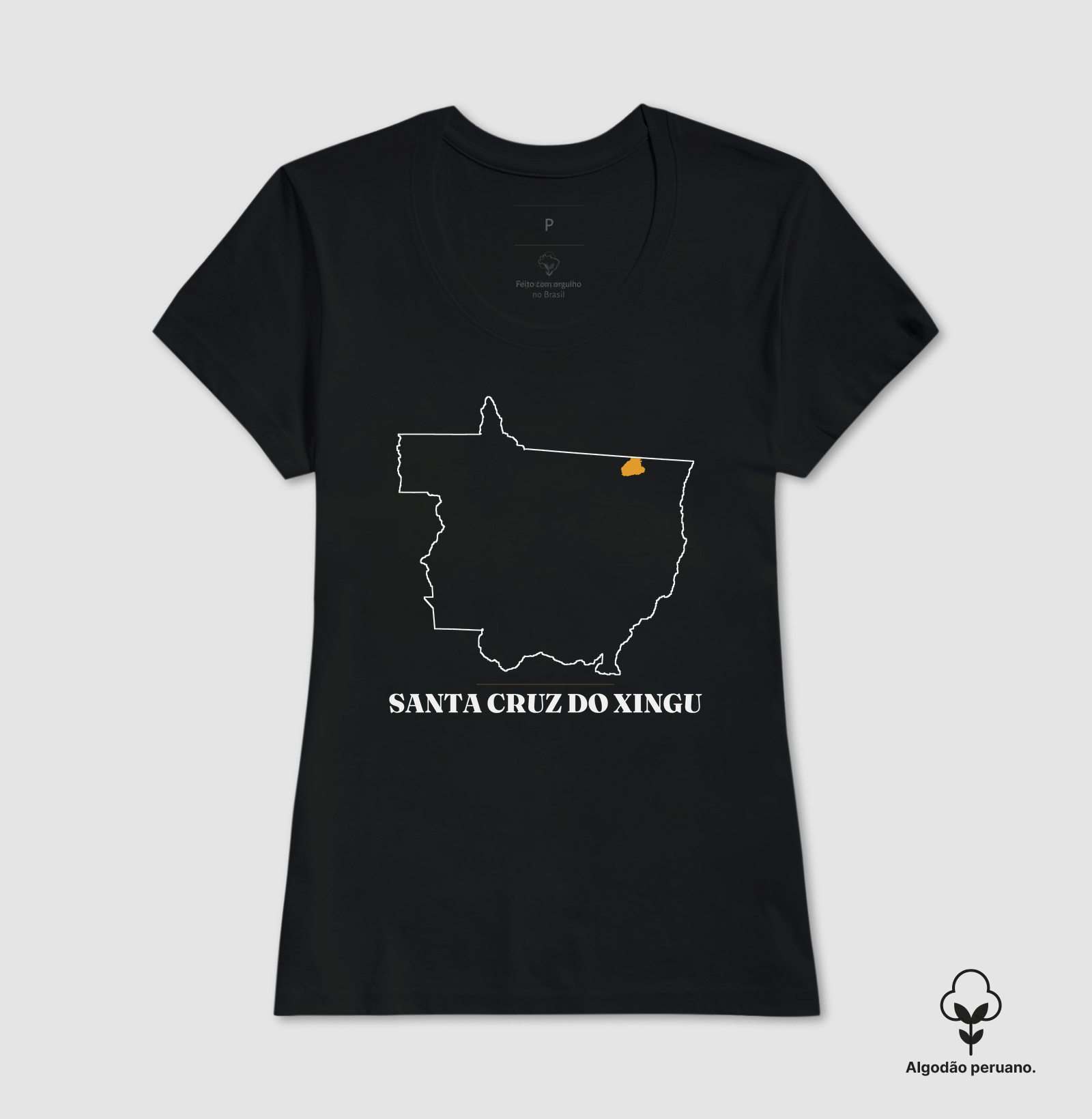 Santa Cruz do Xingu | Traço MT - Imagem 6