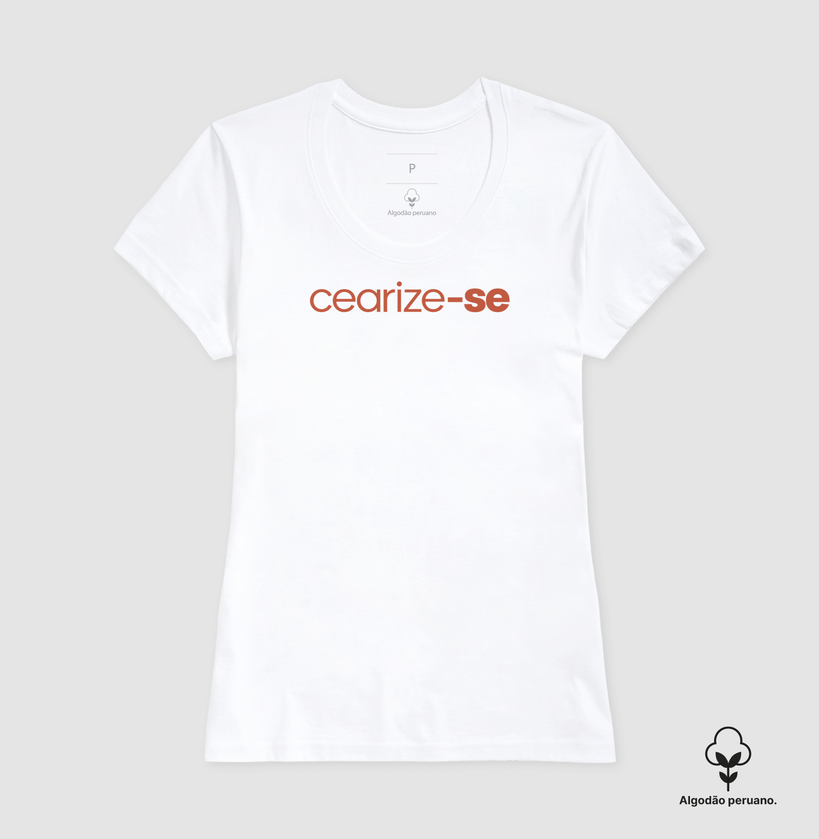 Cearize-se - Imagem 2