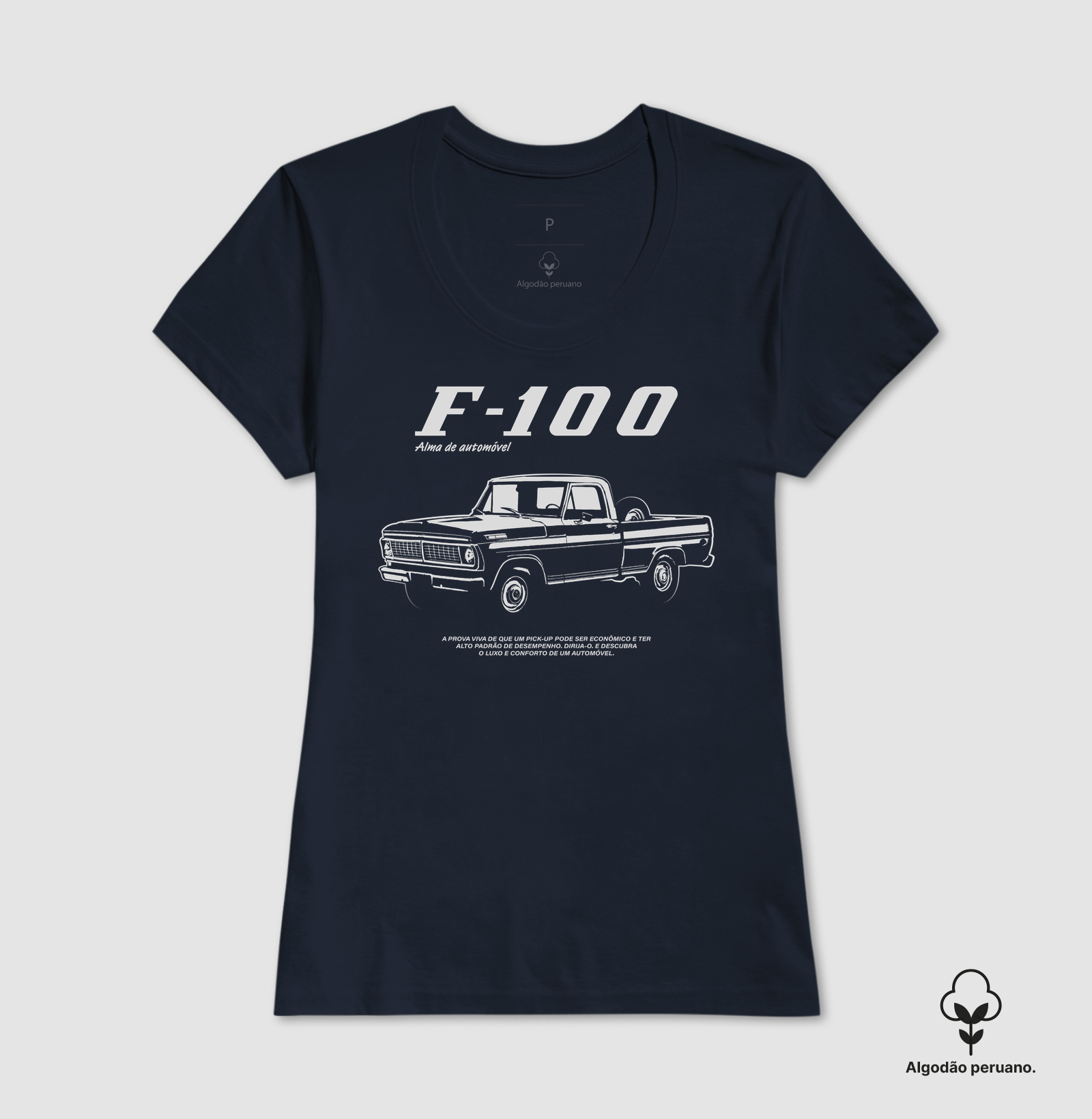F-100 | Alma de Automóvel - Imagem 8