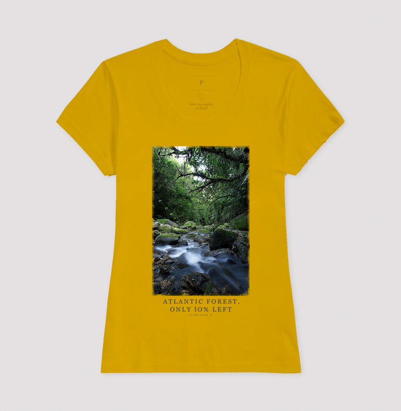 Atlantic Forest - Imagem 9