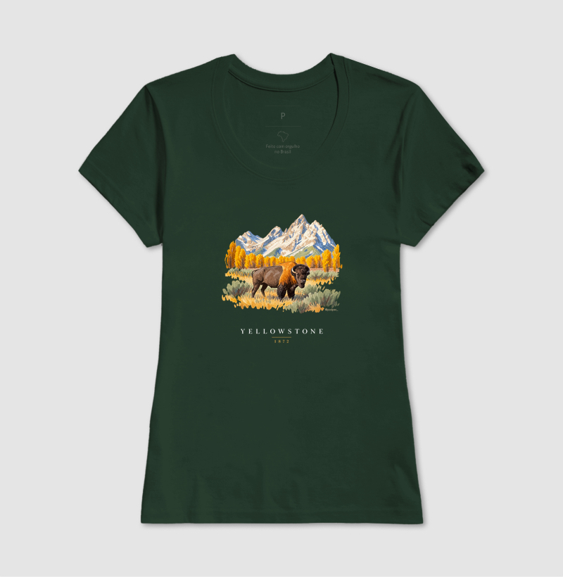 Bison - Yellowstone - Imagem 13