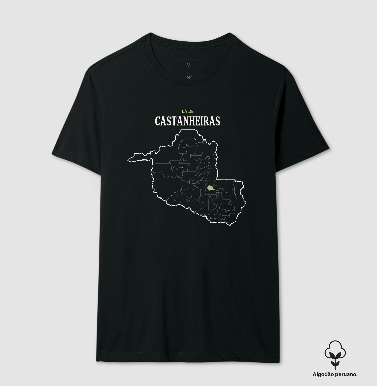 Castanheiras | Território RO - Imagem 5