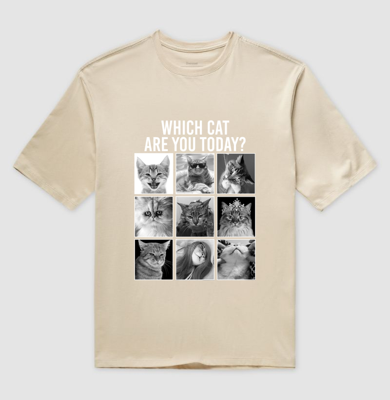CAT MOOD - Imagem 3