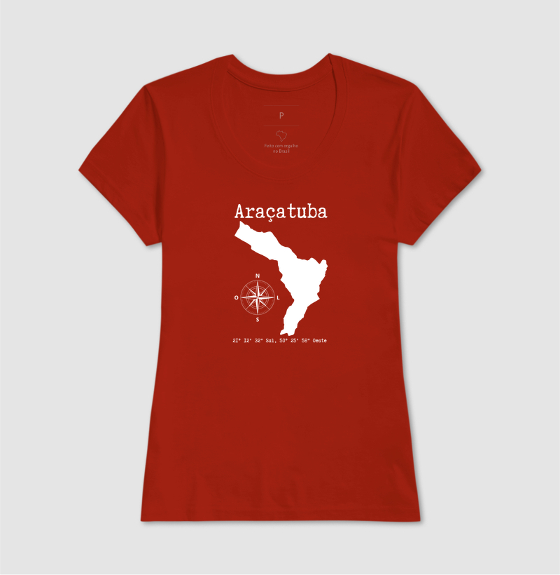 Araçatuba localização I - Imagem 14