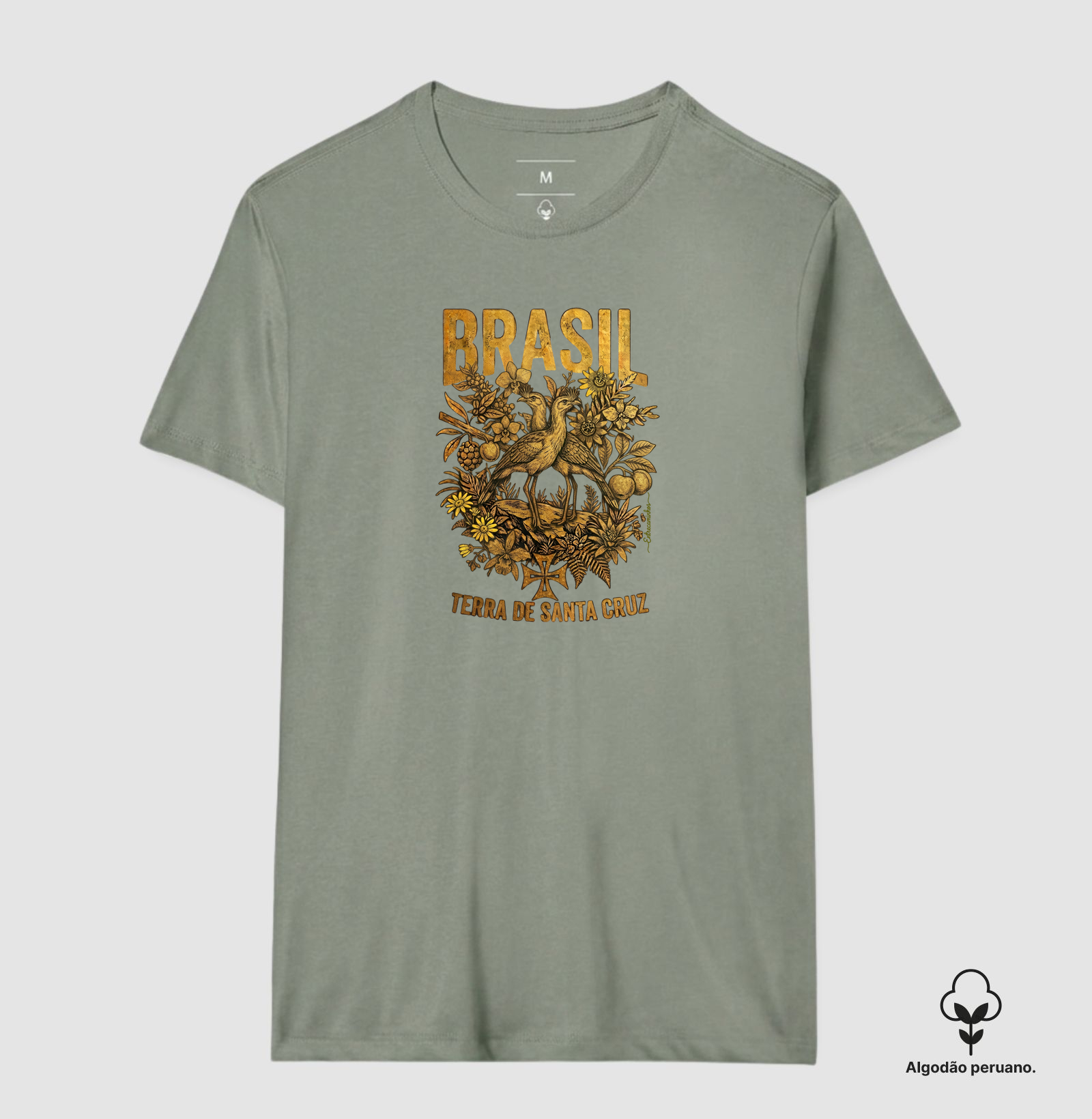 Camisa 6