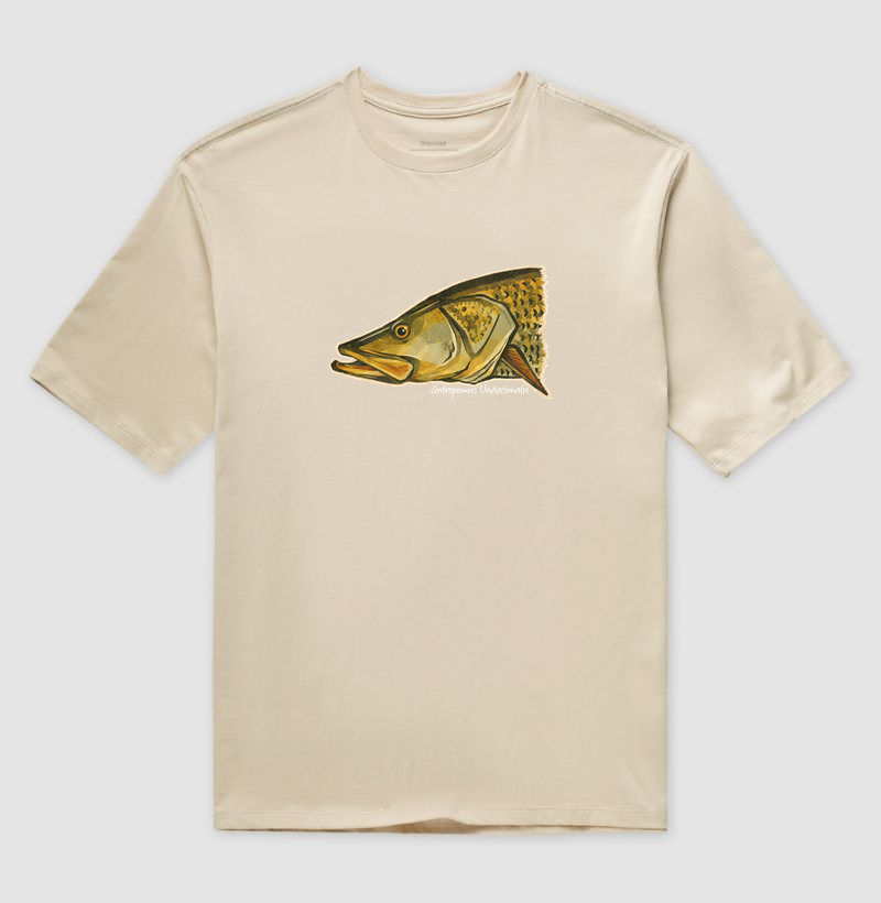 Robalo-Flecha - Imagem 3