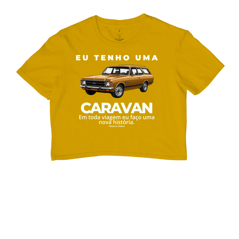 Eu tenho uma caravan ocre - Imagem 8