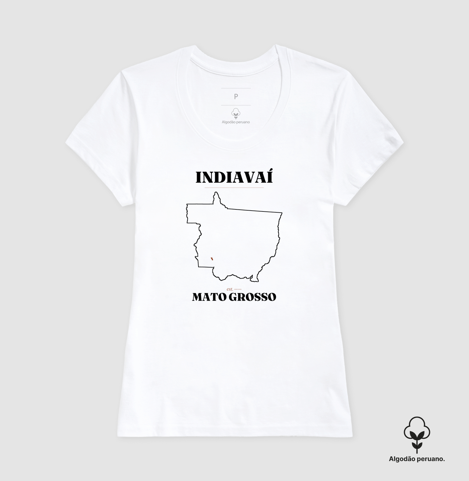 Indiavaí | Legado MT - Imagem 5