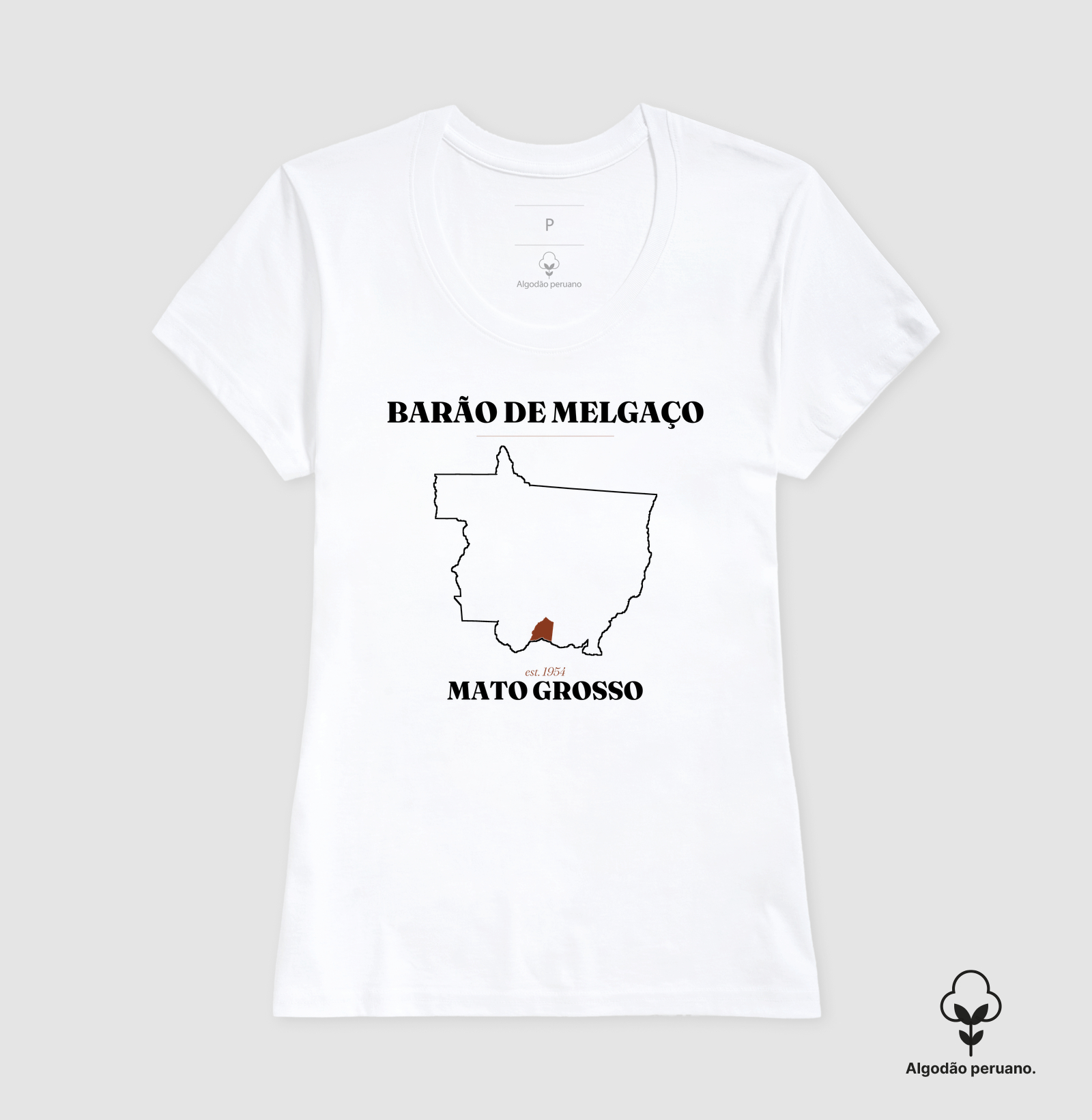 Barão de Melgaço | Legado MT - Imagem 7