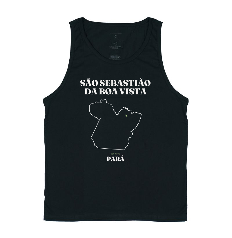 São Sebastião da Boa Vista | Legado PA - Imagem 3