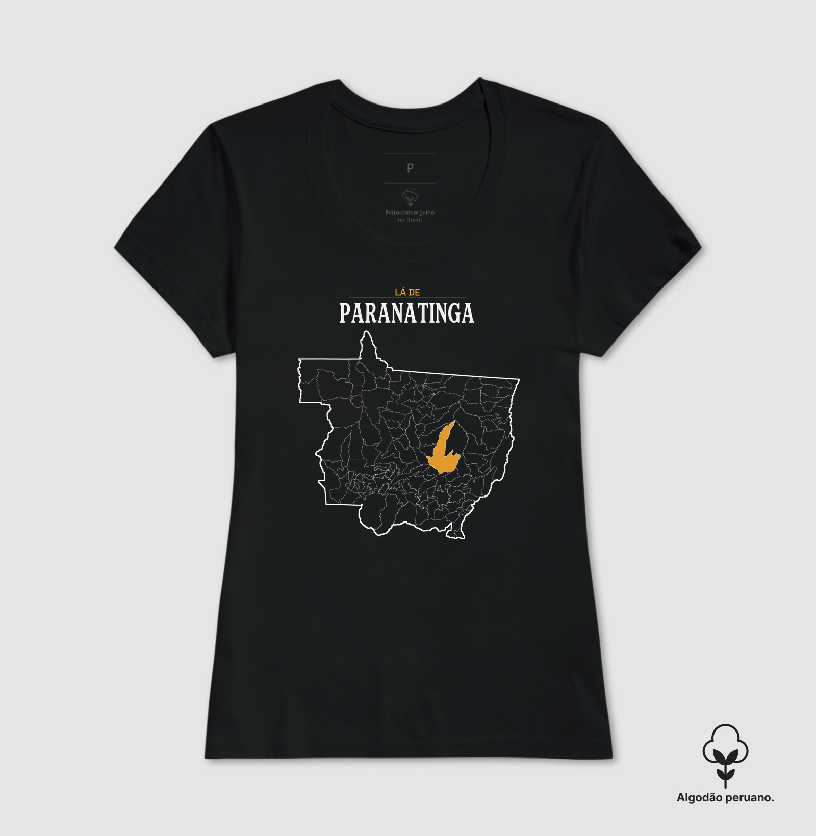 Paranatinga | Território MT - Imagem 7