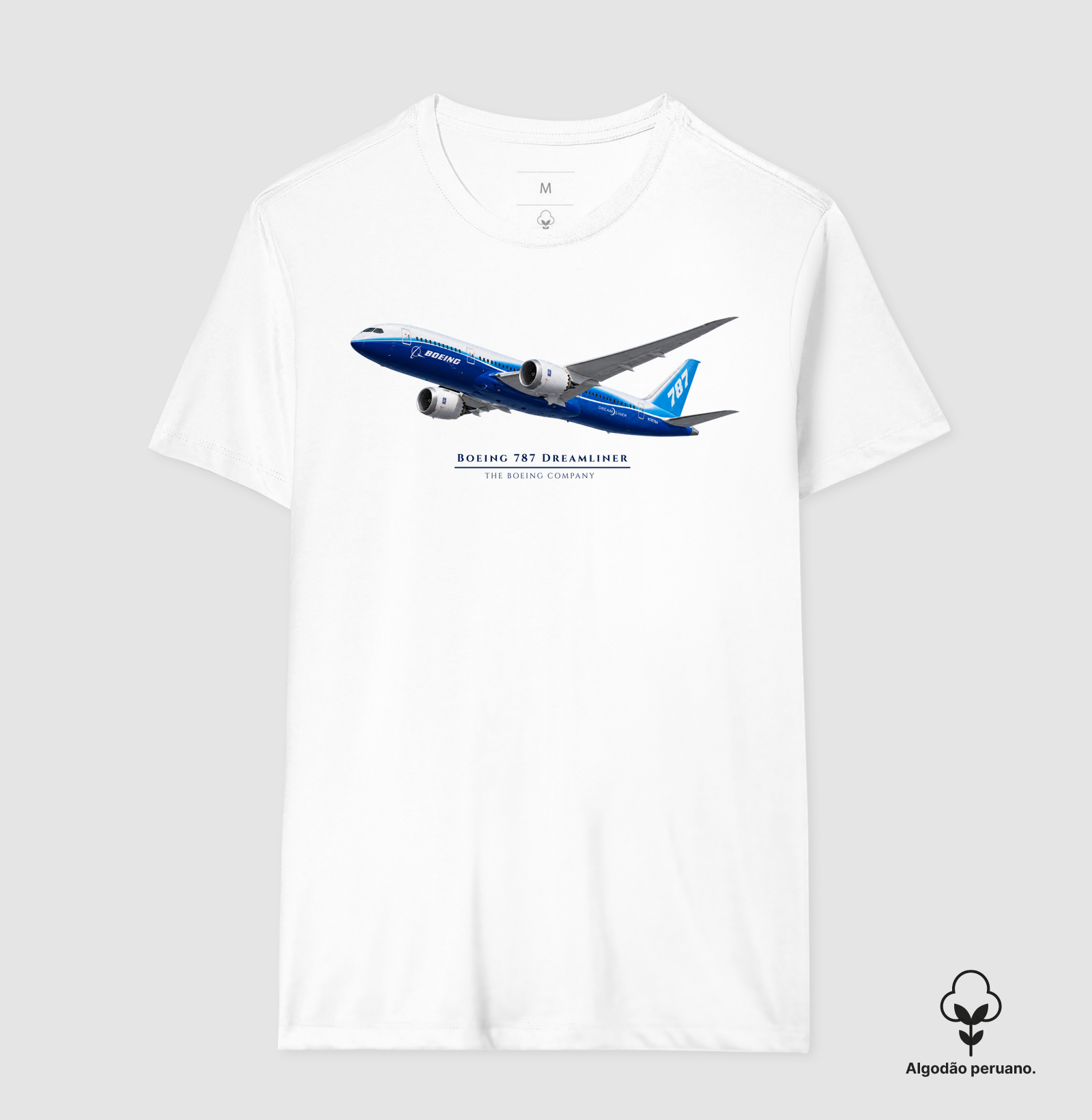 Boeing 787 Dreamliner - Imagem 6