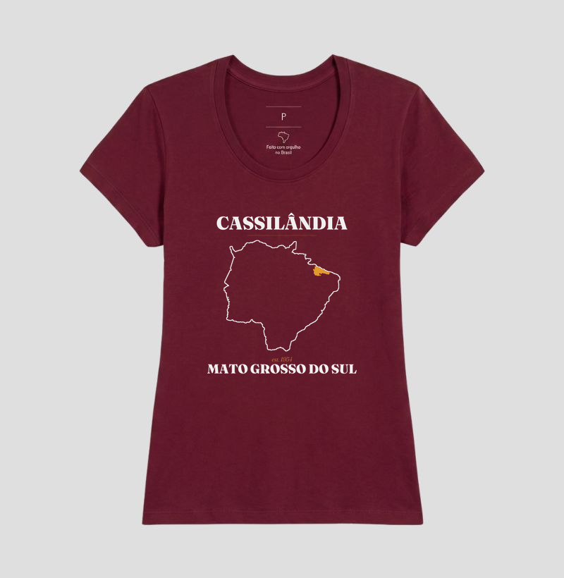 Cassilândia | Legado MS - Imagem 19