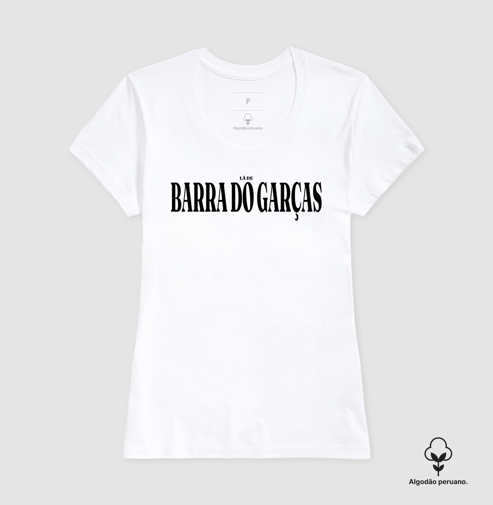 Barra do Garças | Tipografia MT - Imagem 3