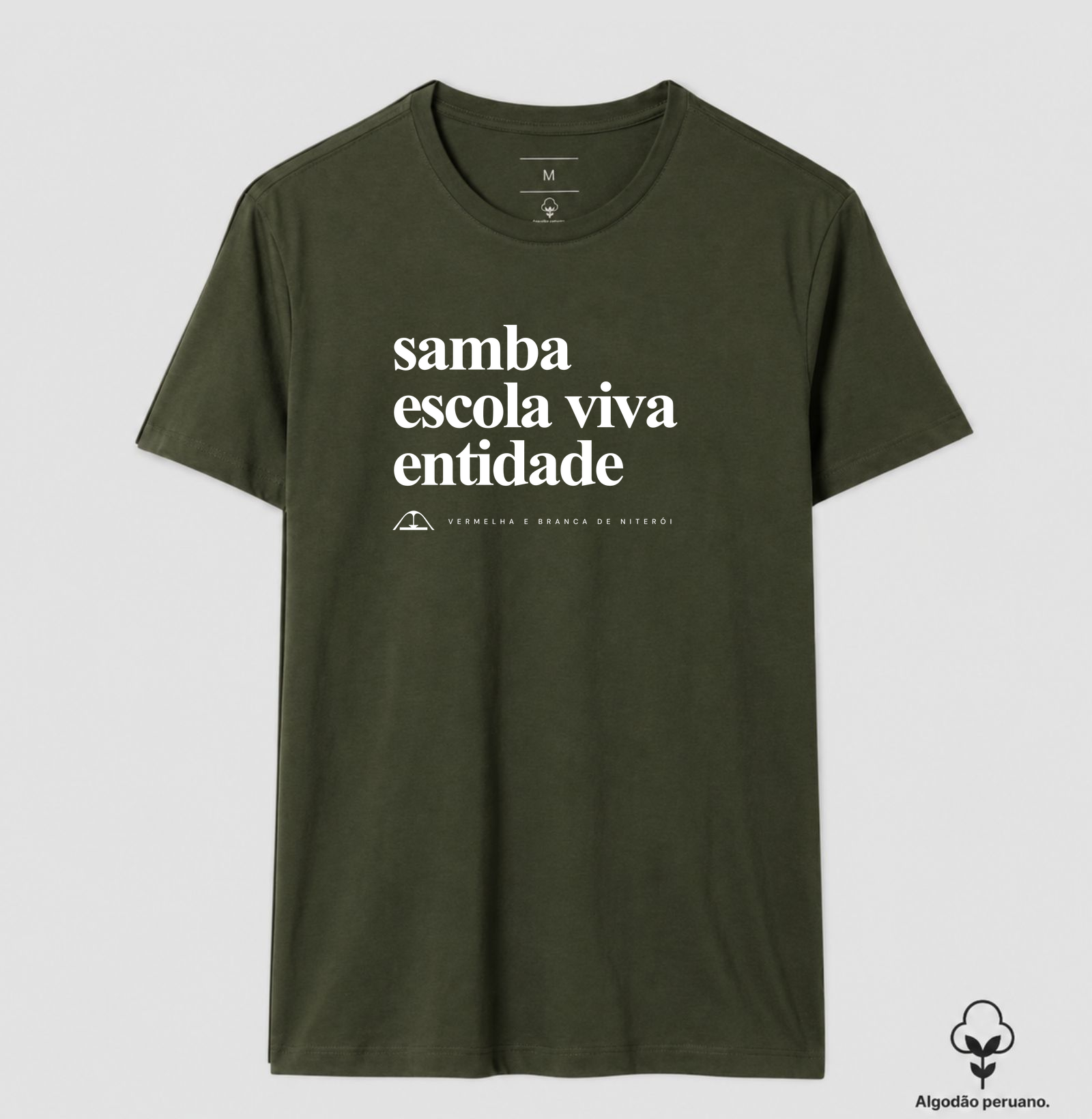 Samba escola viva entidade - Imagem 2