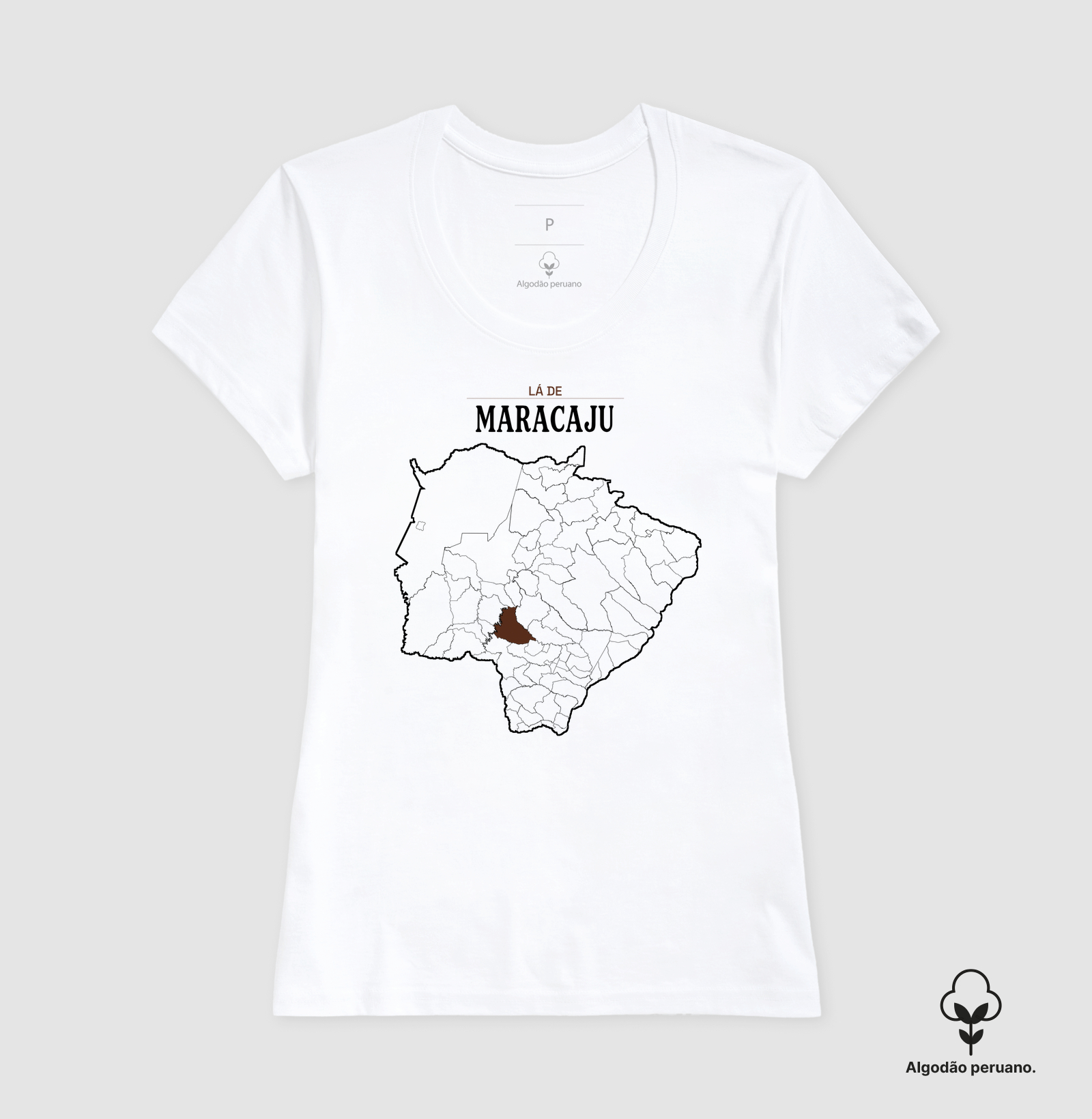 Maracaju | Território MS - Imagem 6