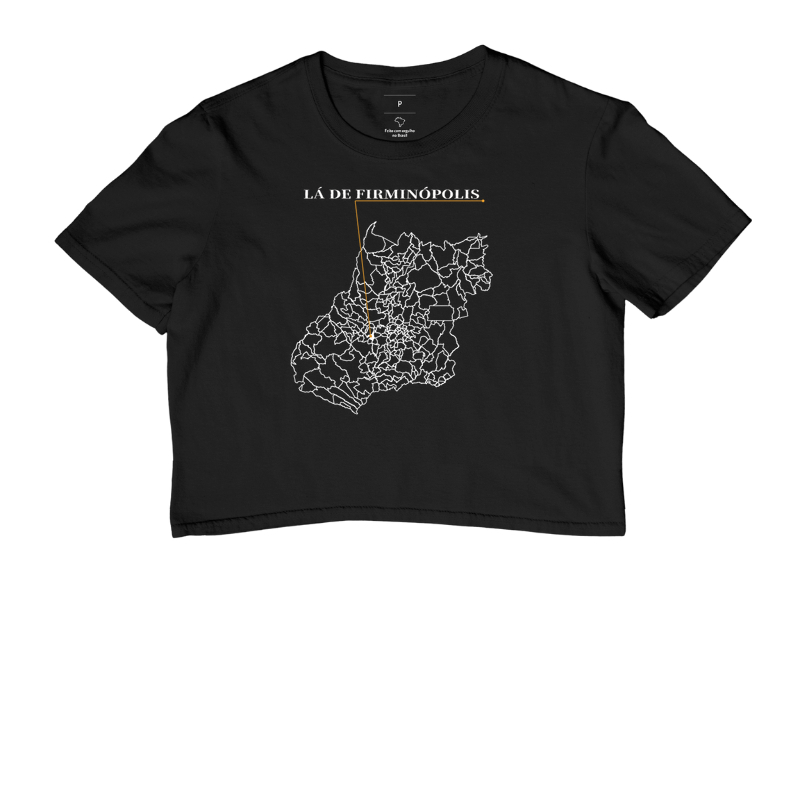 Firminópolis | Origem GO - Imagem 2