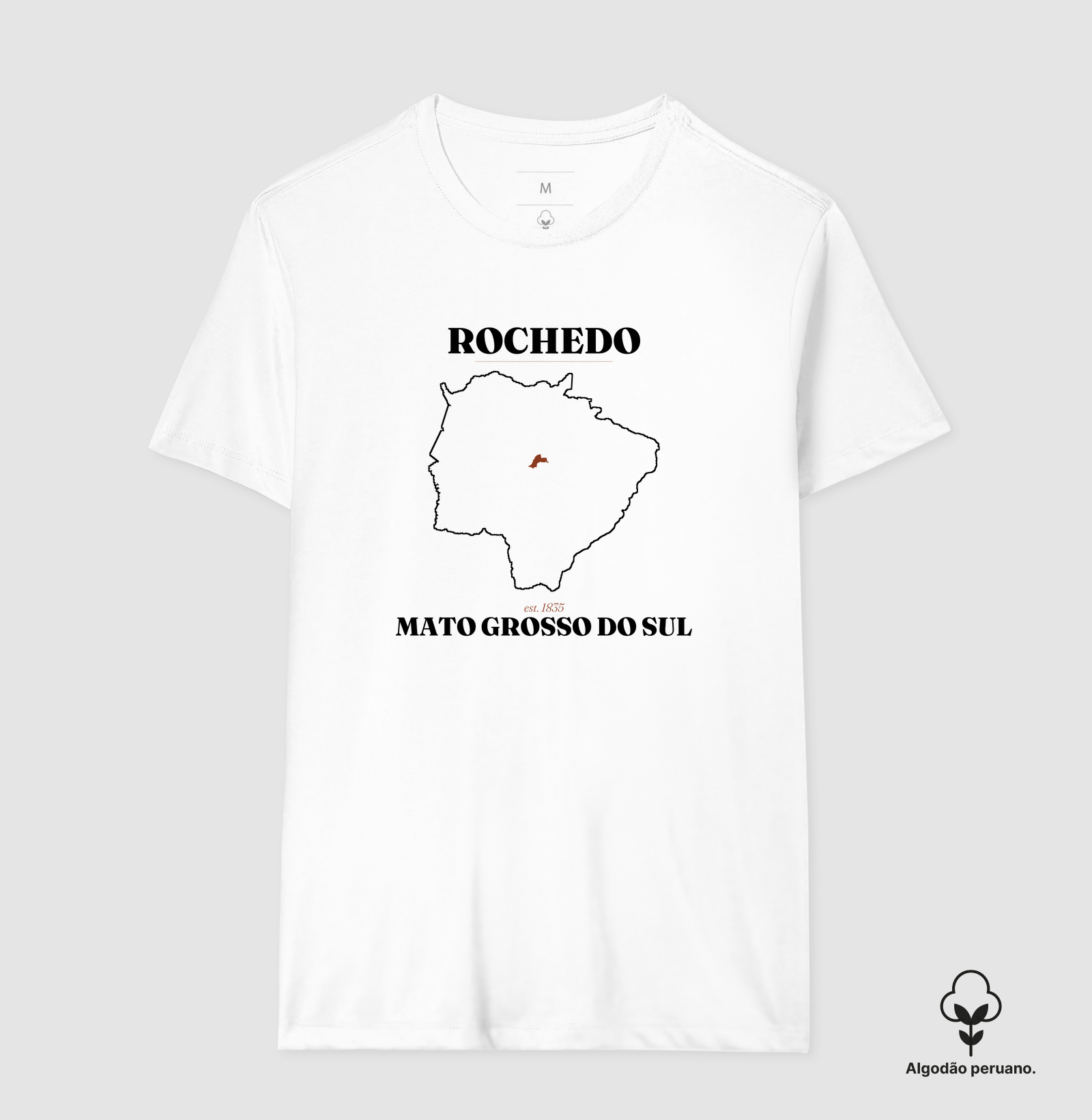 Rochedo | Legado MS - Imagem 6