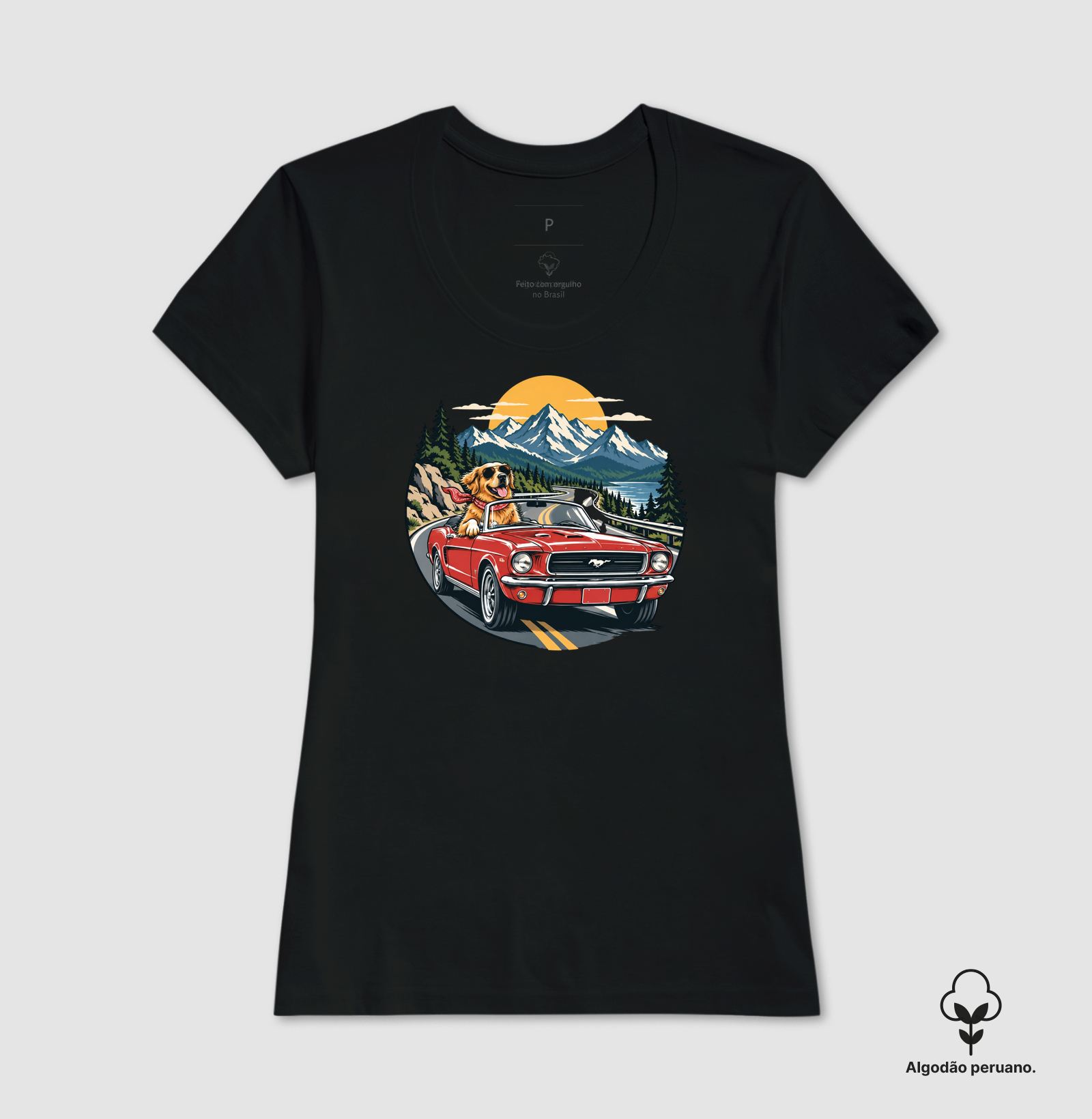 Road Trip - Imagem 4