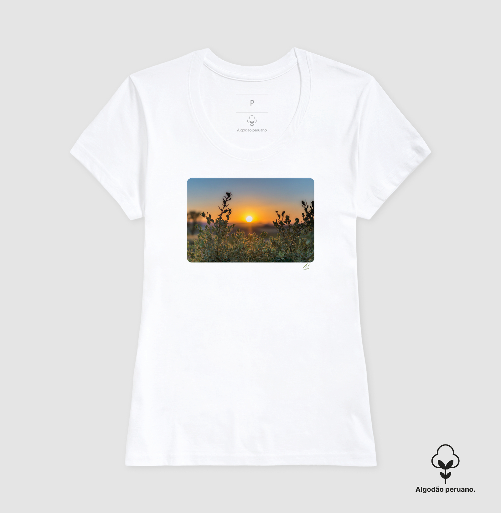 Camisa 6