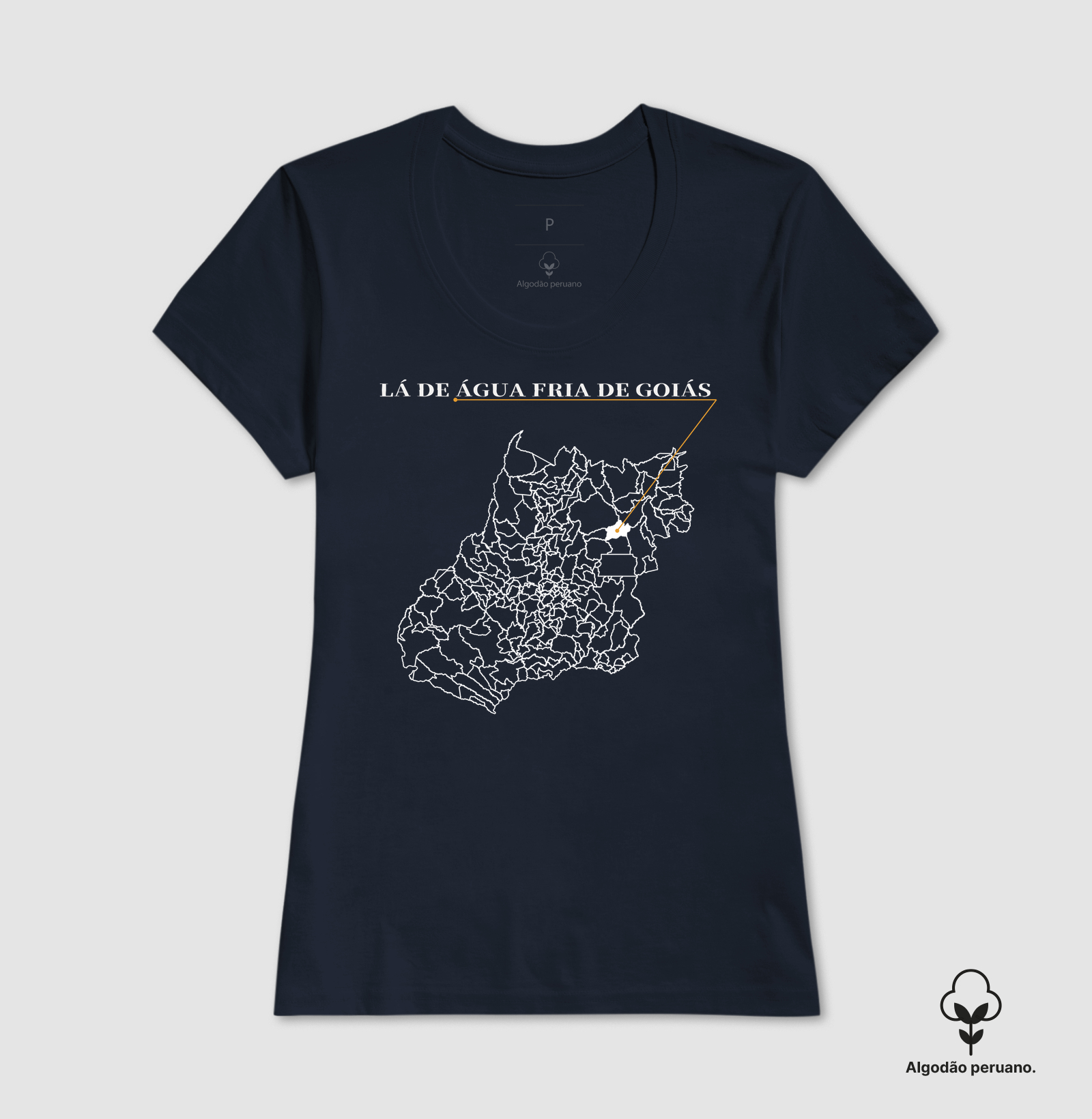 Água Fria de Goiás | Origem GO - Imagem 9
