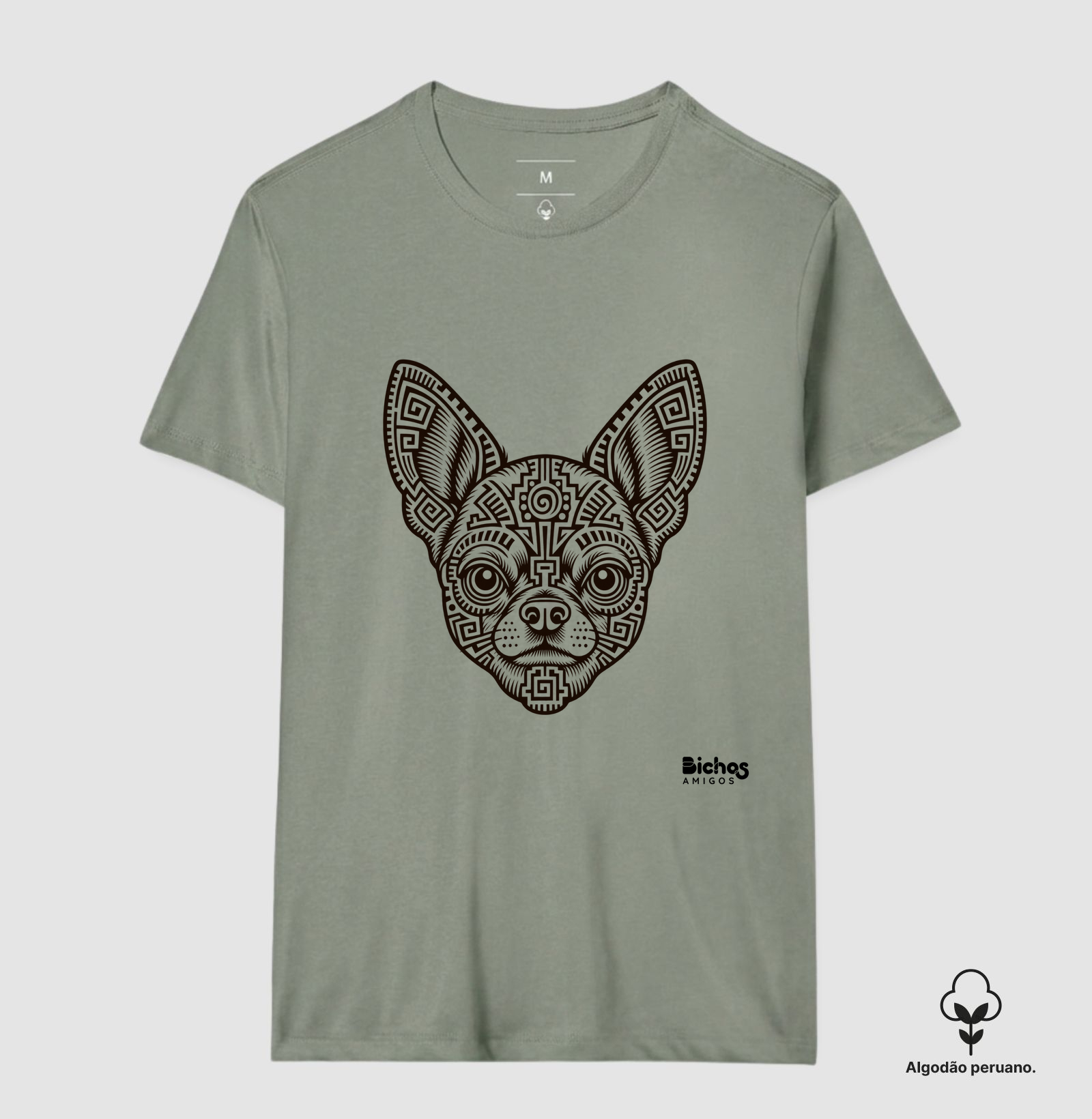 Chihuahua - Imagem 2