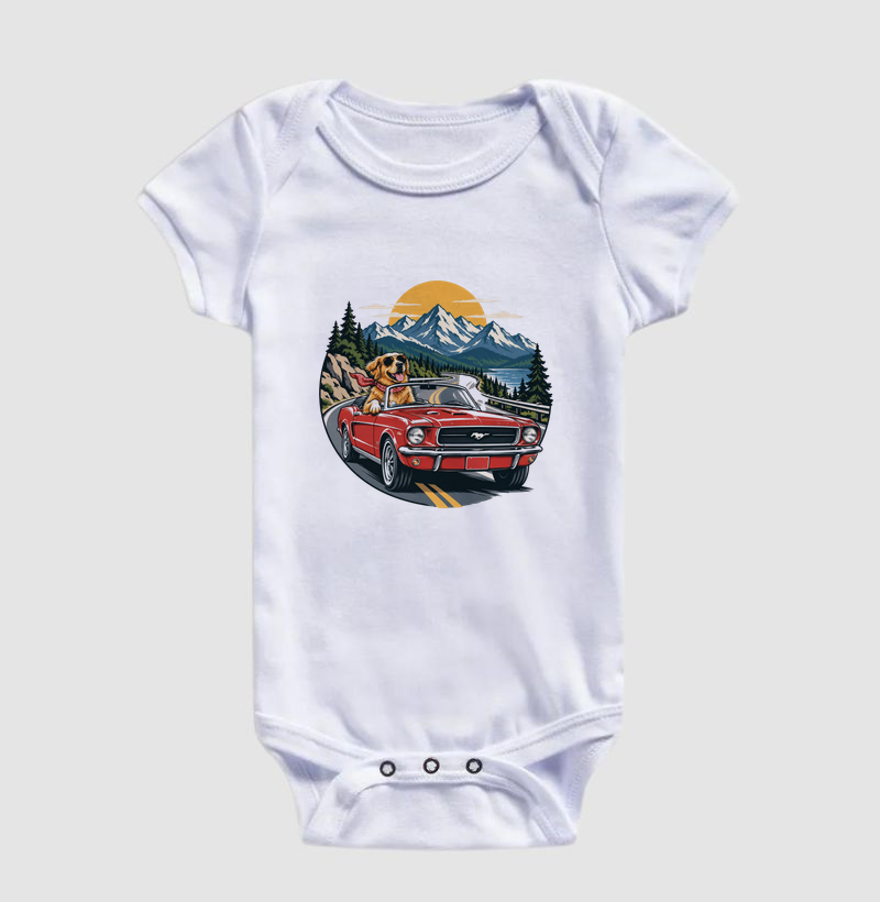 Road Trip - Imagem 3