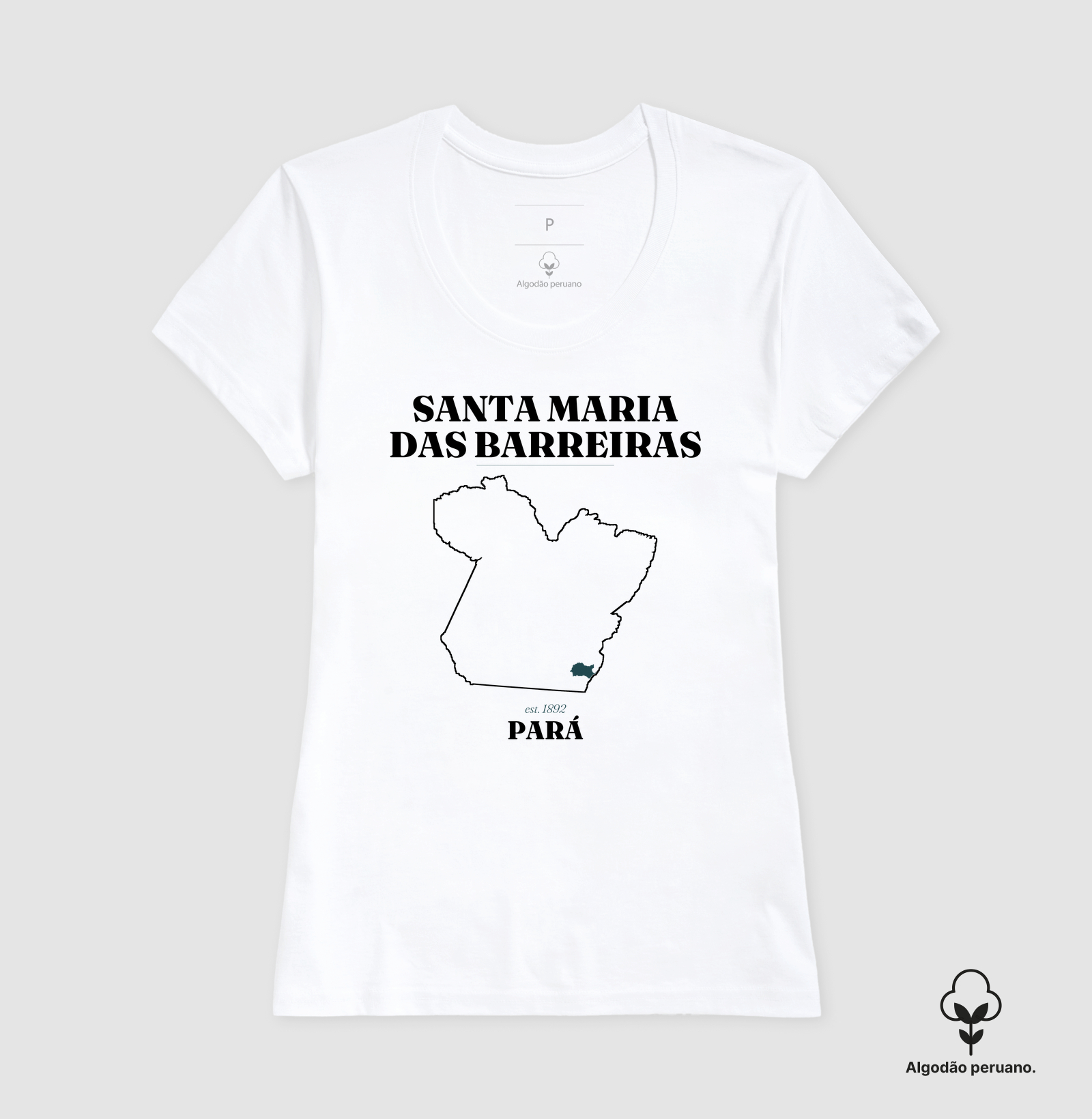 Santa Maria das Barreiras | Legado PA - Imagem 9