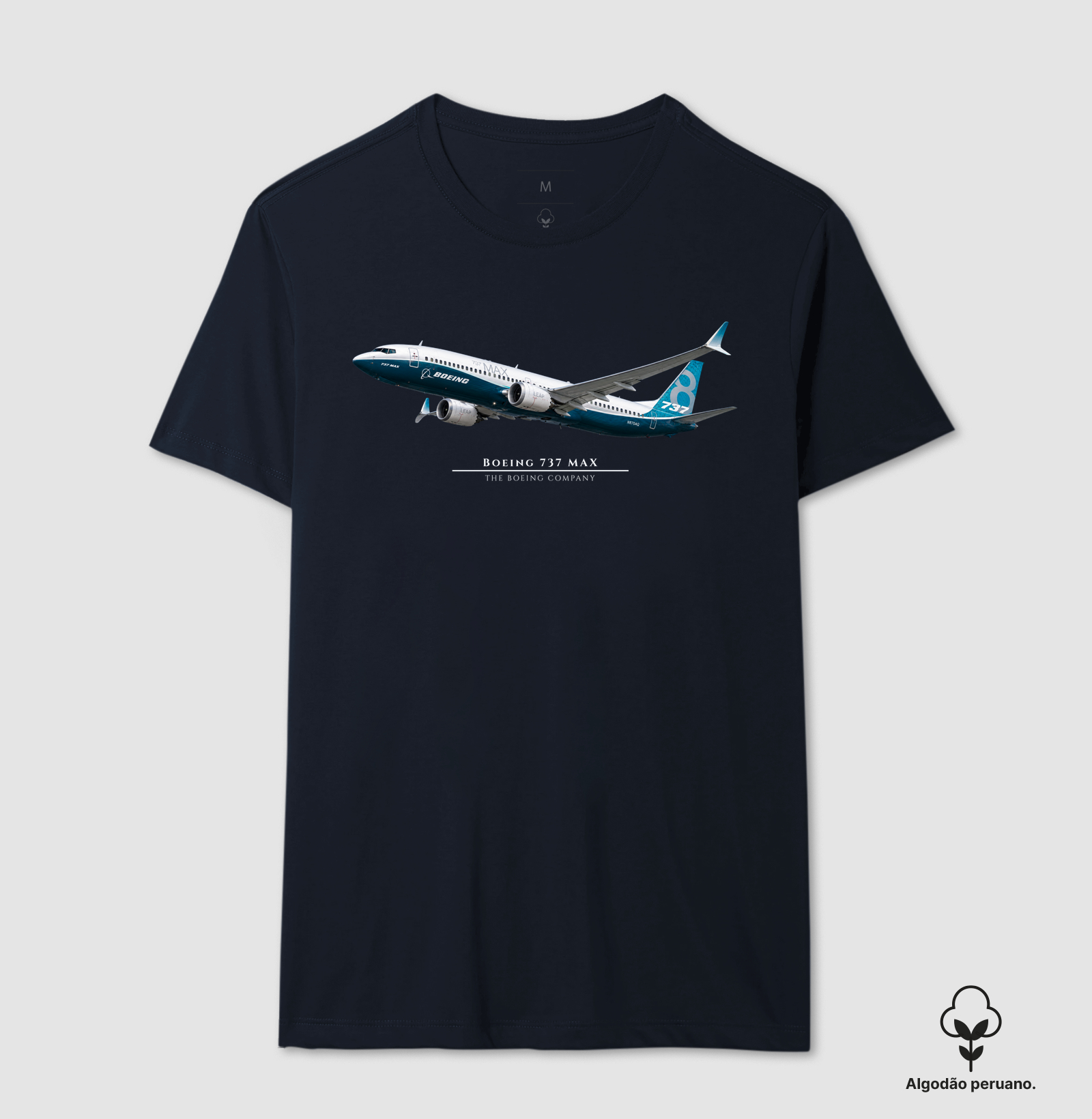 Boeing 737 MAX - Imagem 2