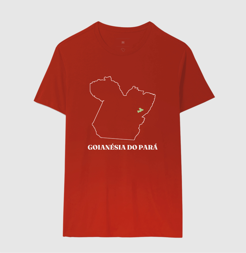 Goianésia do Pará | Traço PA - Imagem 10