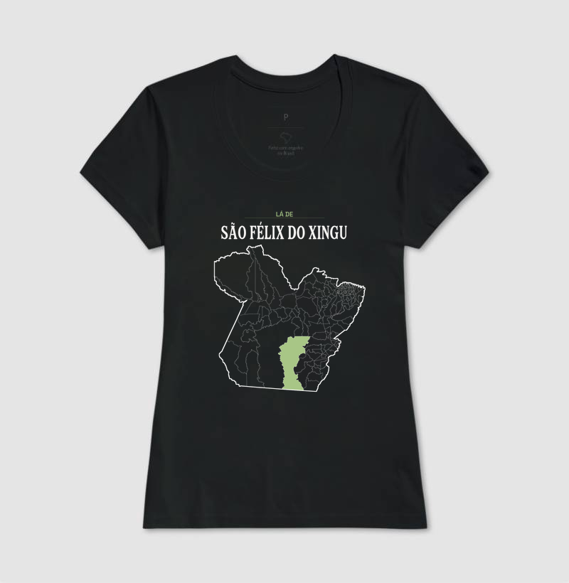 São Félix do Xingu | Território PA - Imagem 3