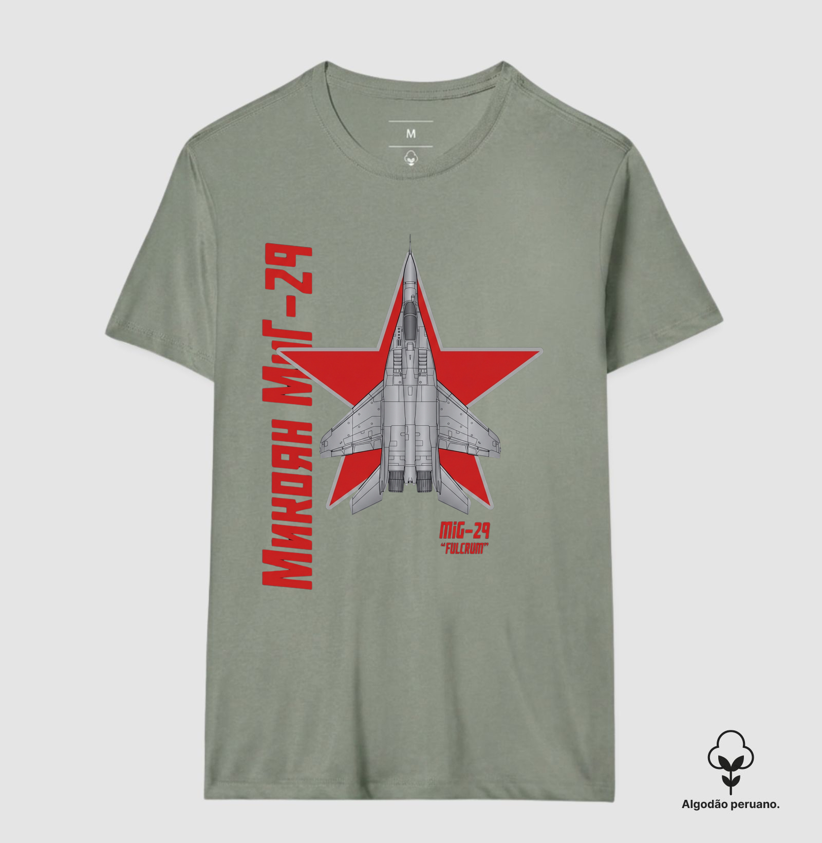 Mig29 Fulcrum - Imagem 7