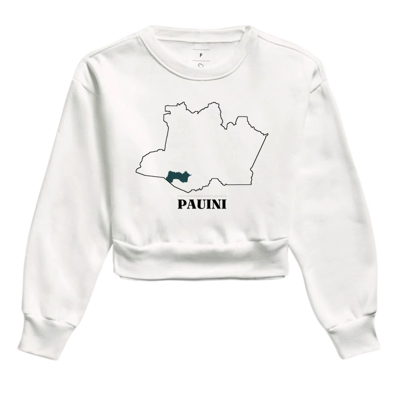 Pauini | Traço AM - Imagem 3