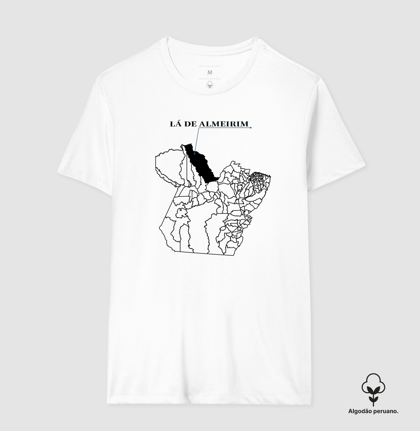 Almeirim | Origem PA - Imagem 2