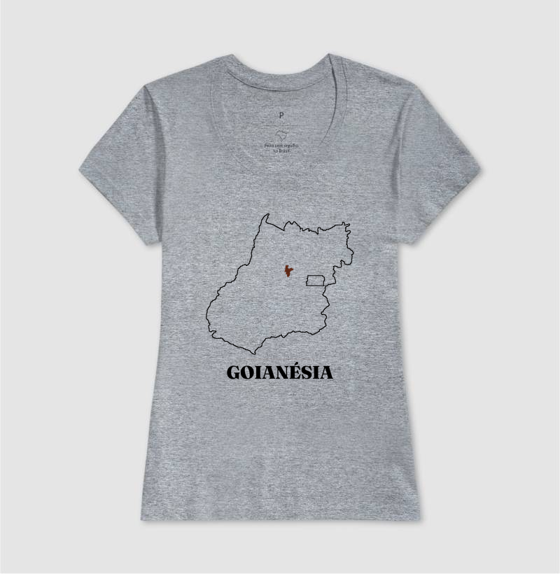 Goianésia | Traço GO - Imagem 9