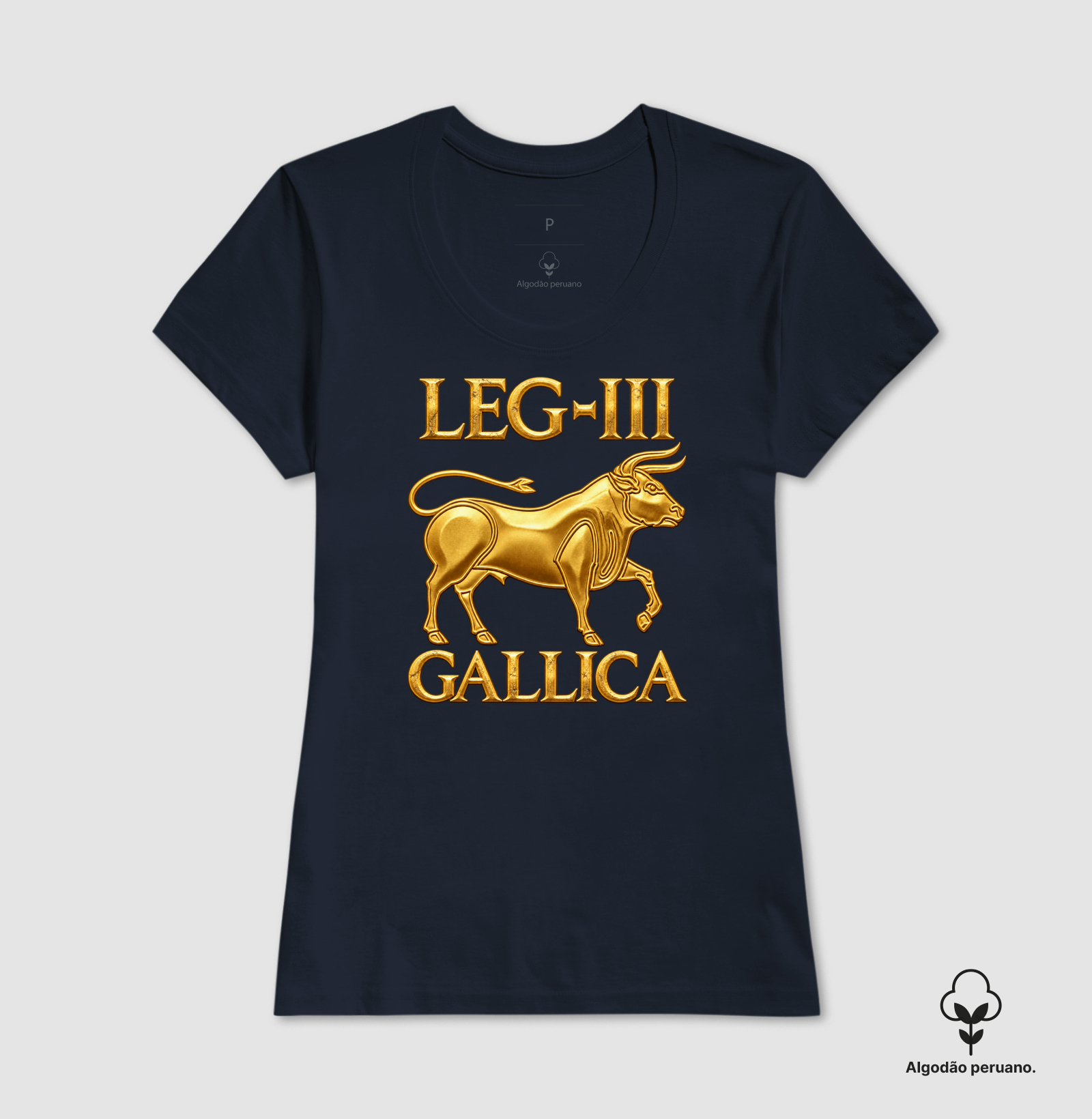 LEGIO — III Gallica - III - Imagem 5