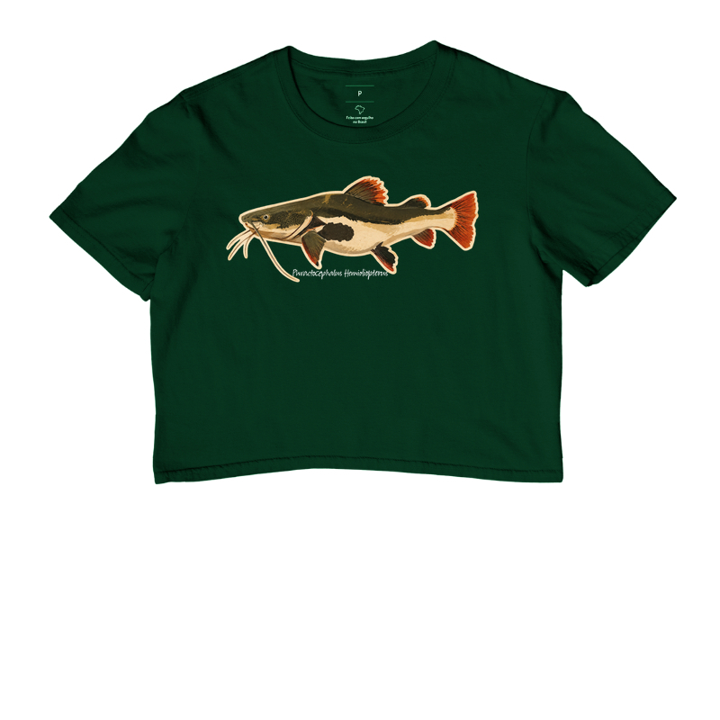 Pirarara 🐟 - Imagem 5