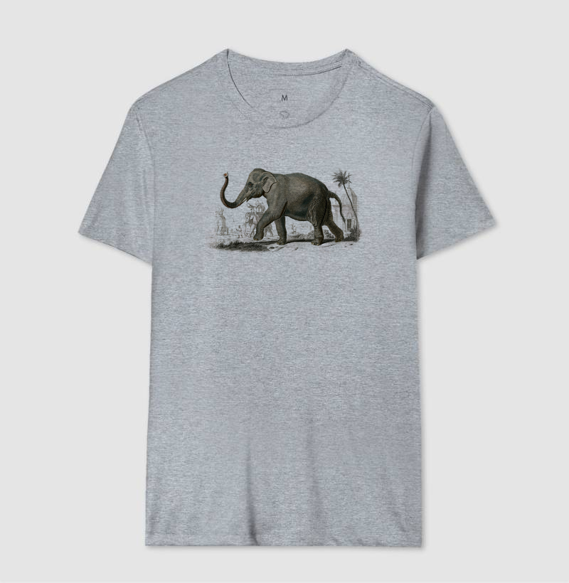 Elefante-asiático - Imagem 4