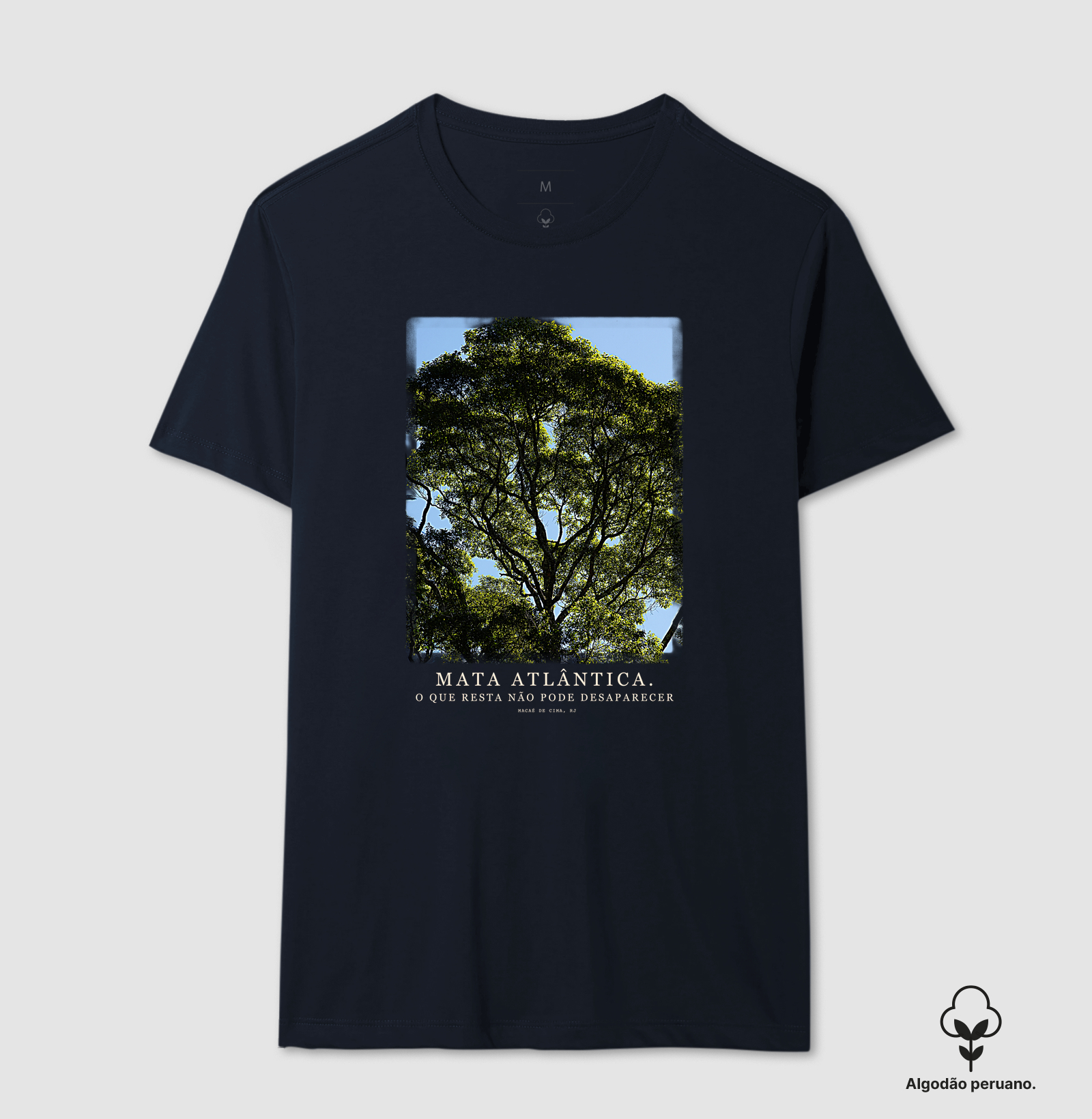 Mata Atlântica - Imagem 2