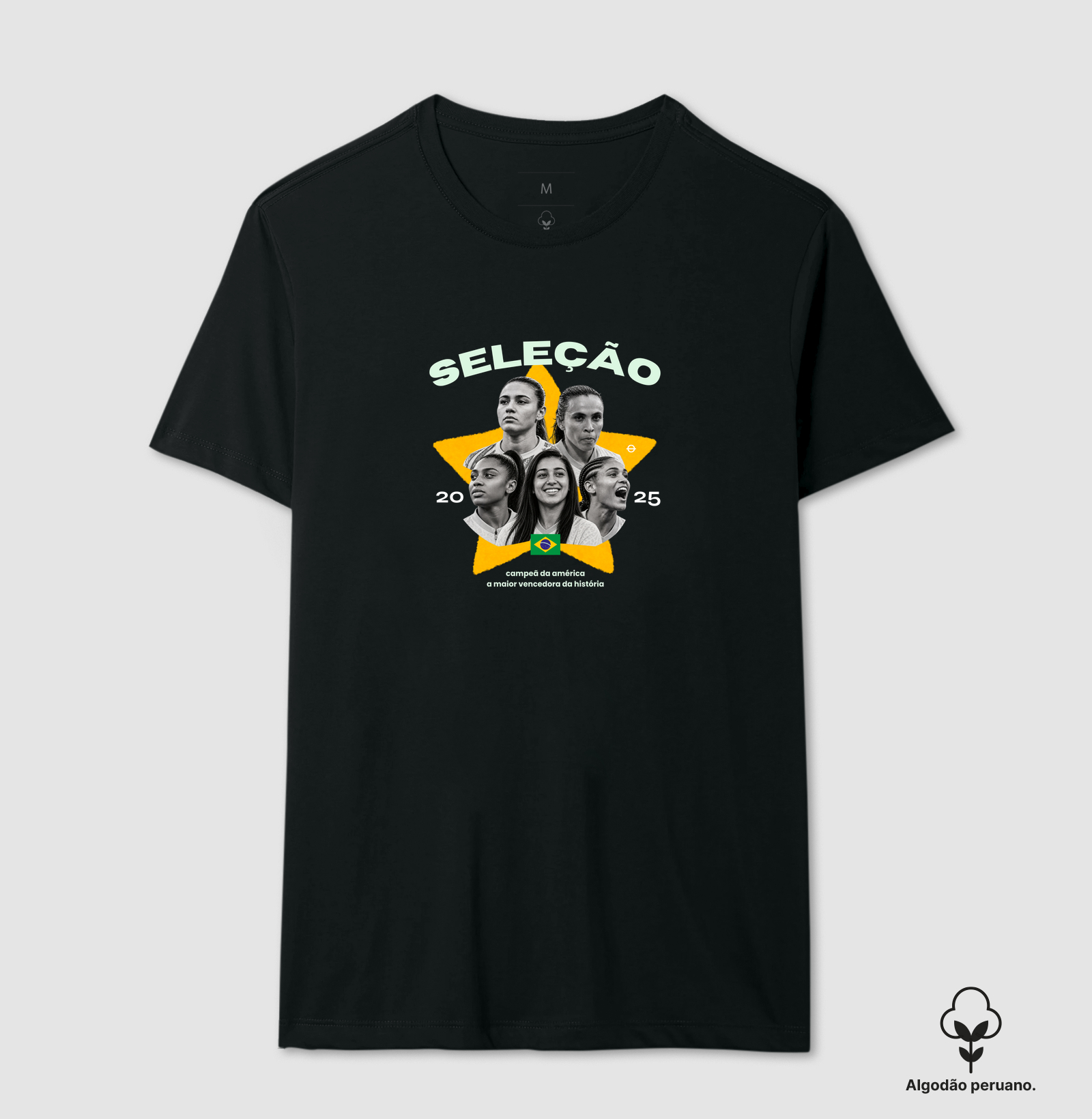 Seleção 2025 — Campeã da América - Imagem 5