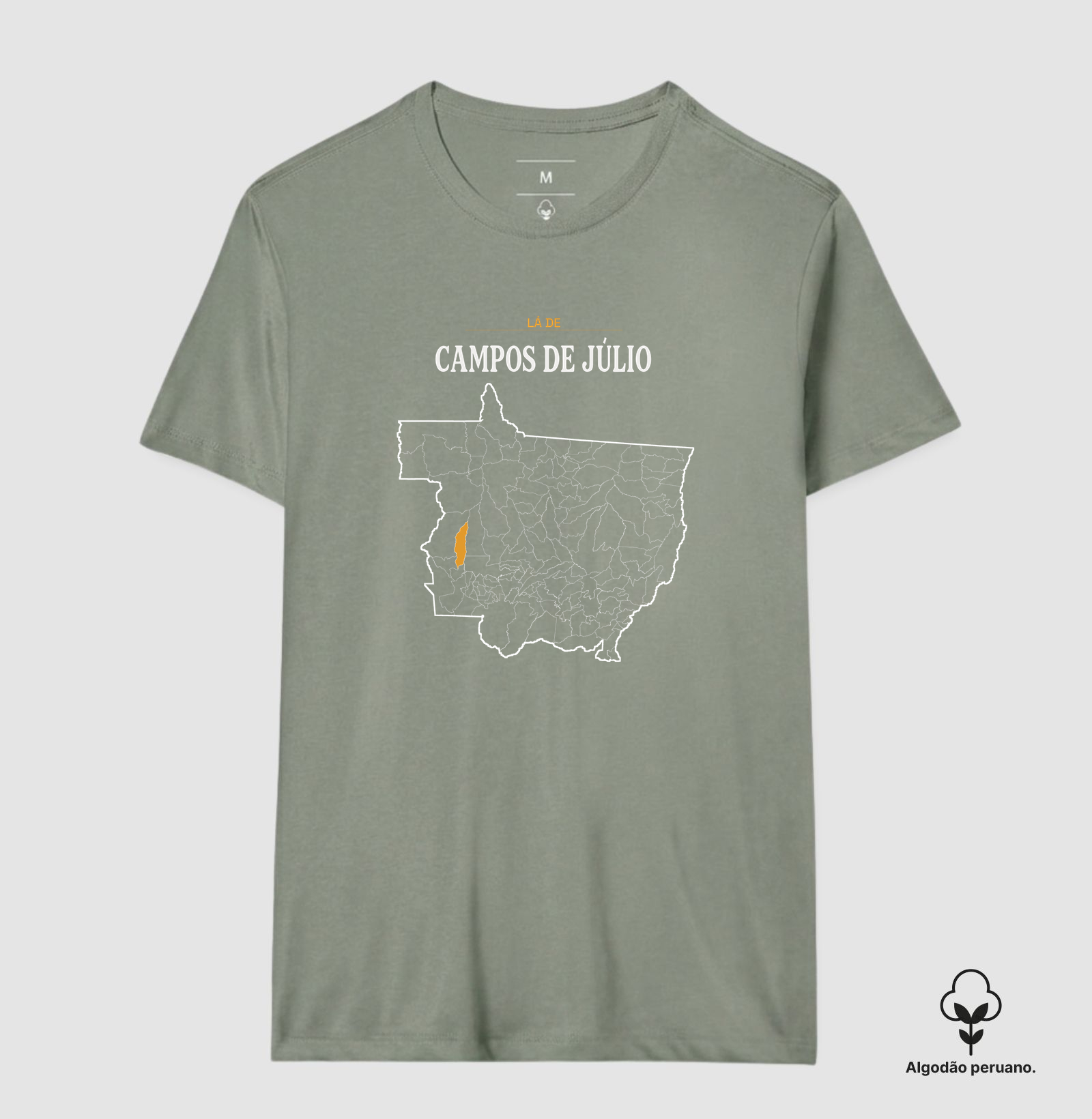 Campos de Júlio | Território MT - Imagem 9