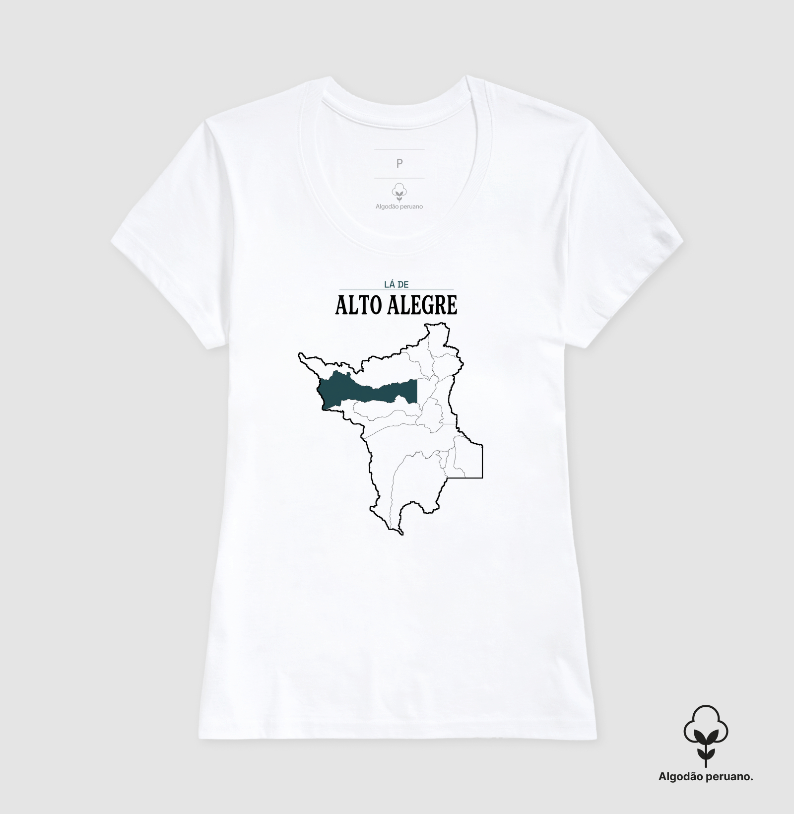 Alto Alegre | Território RR - Imagem 7