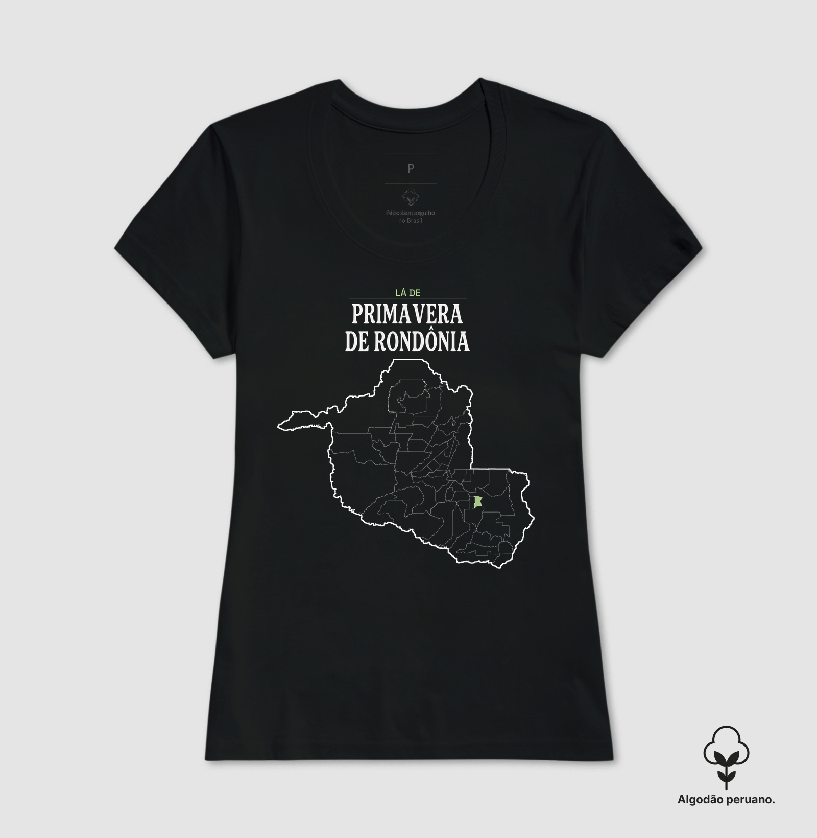 Primavera de Rondônia | Território RO - Imagem 6