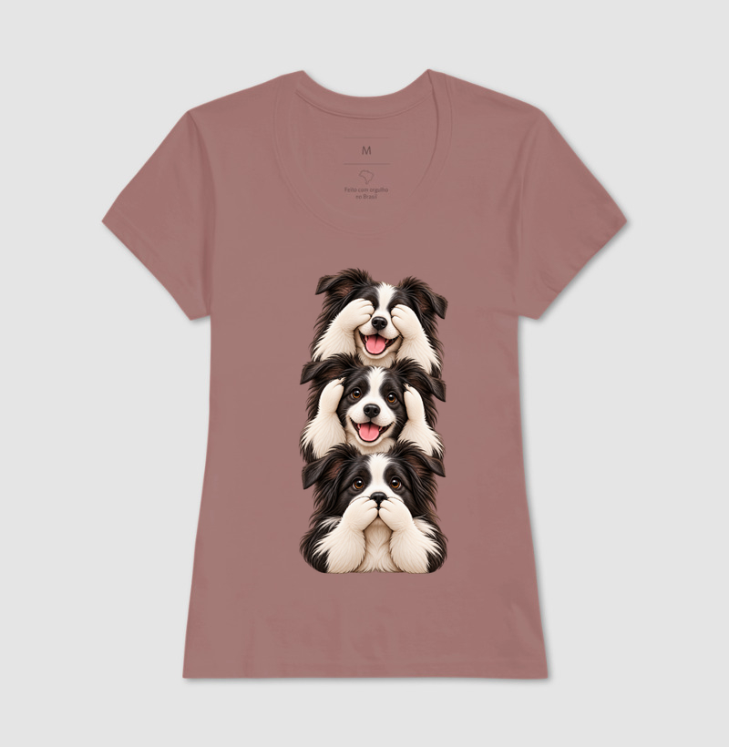 Ver, ouvir e falar Border Collie - Imagem 15
